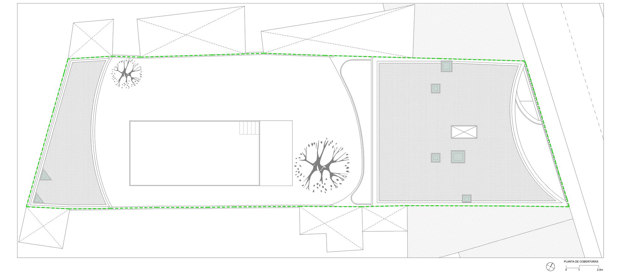 Roof plan showing pool outline, tree placement and terrace paving pattern