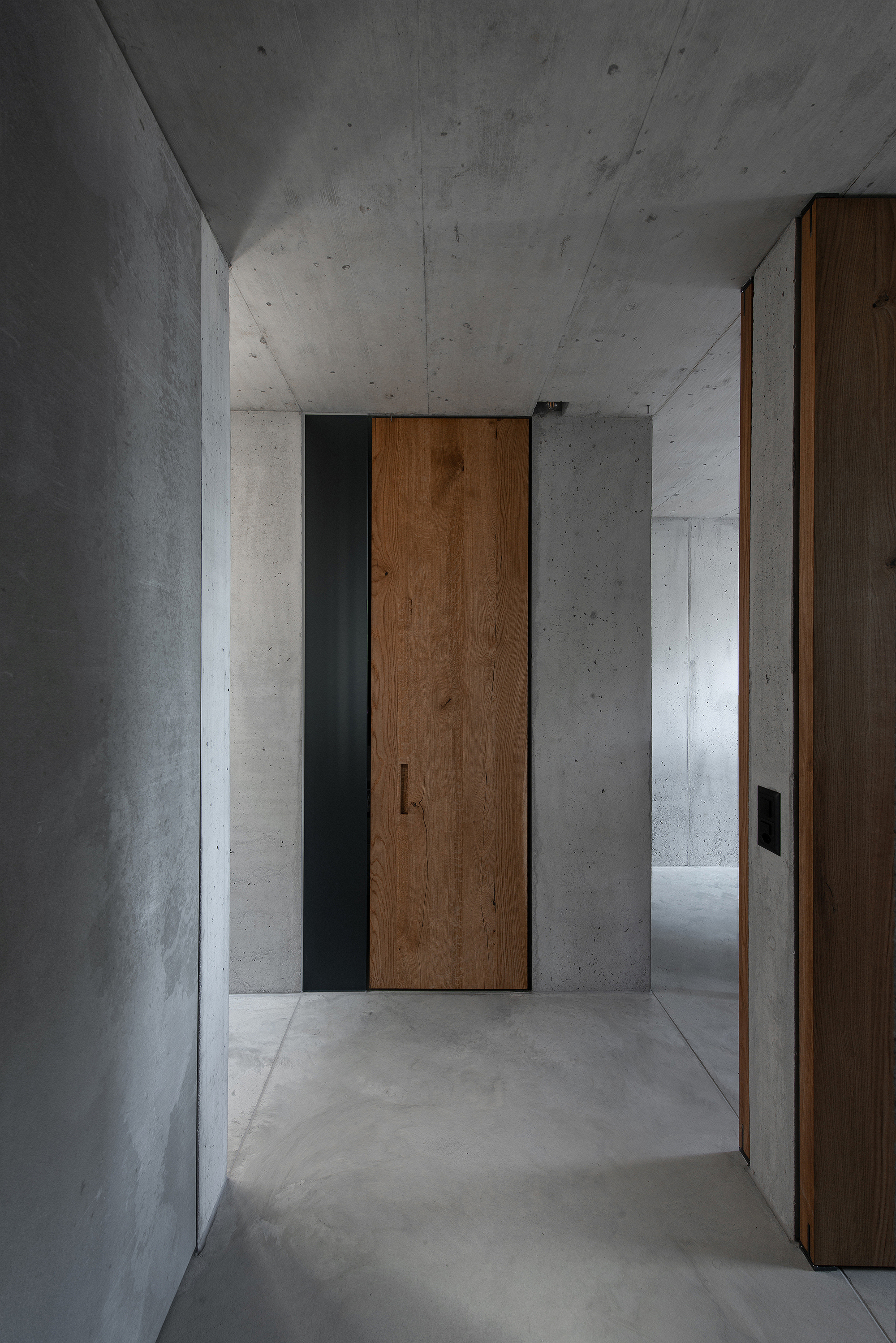 Timber pivot door set within concrete walls in a narrow hallway with diffused natural light
