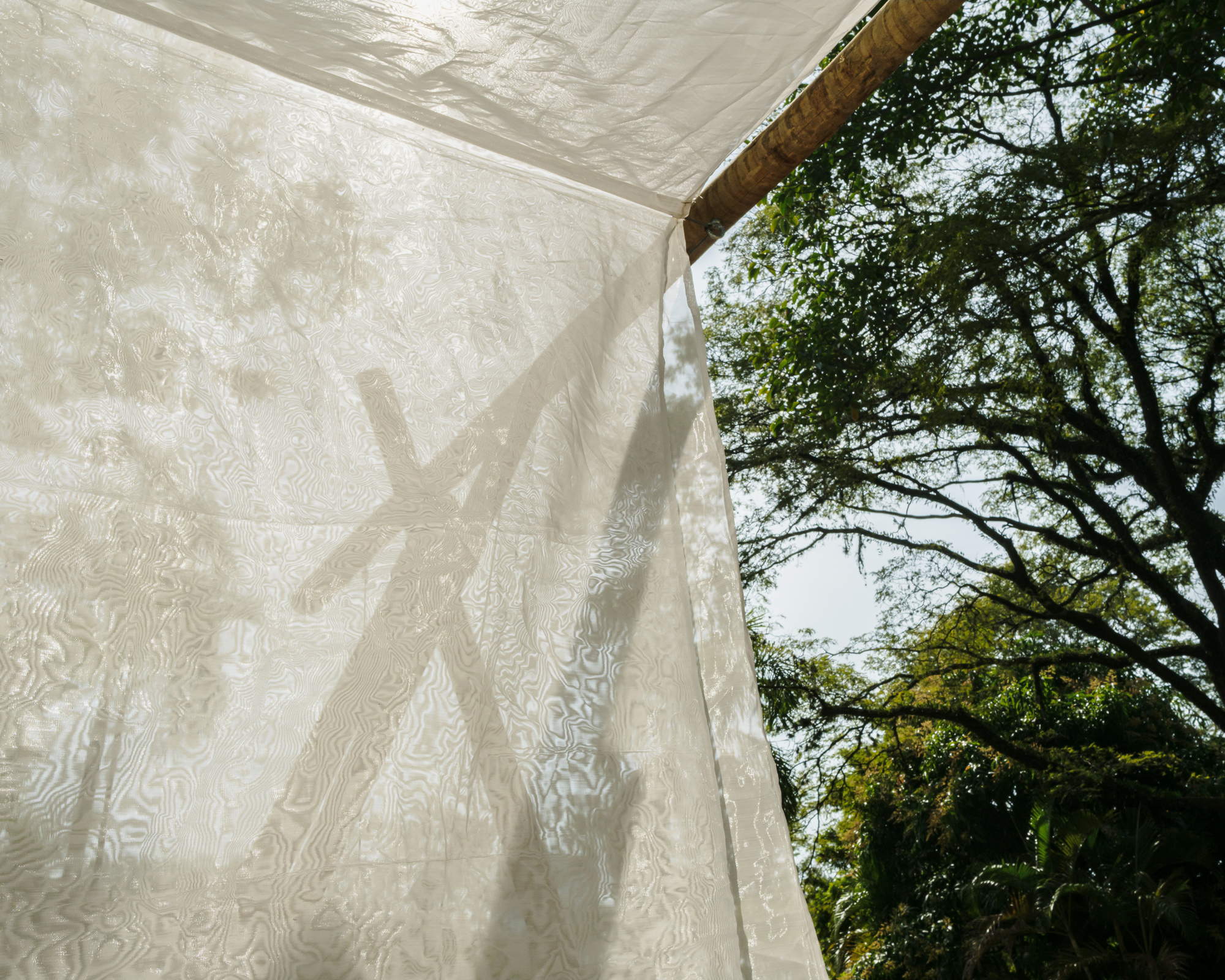 Translucent white fabric wall with tree branch shadows cast by afternoon sun