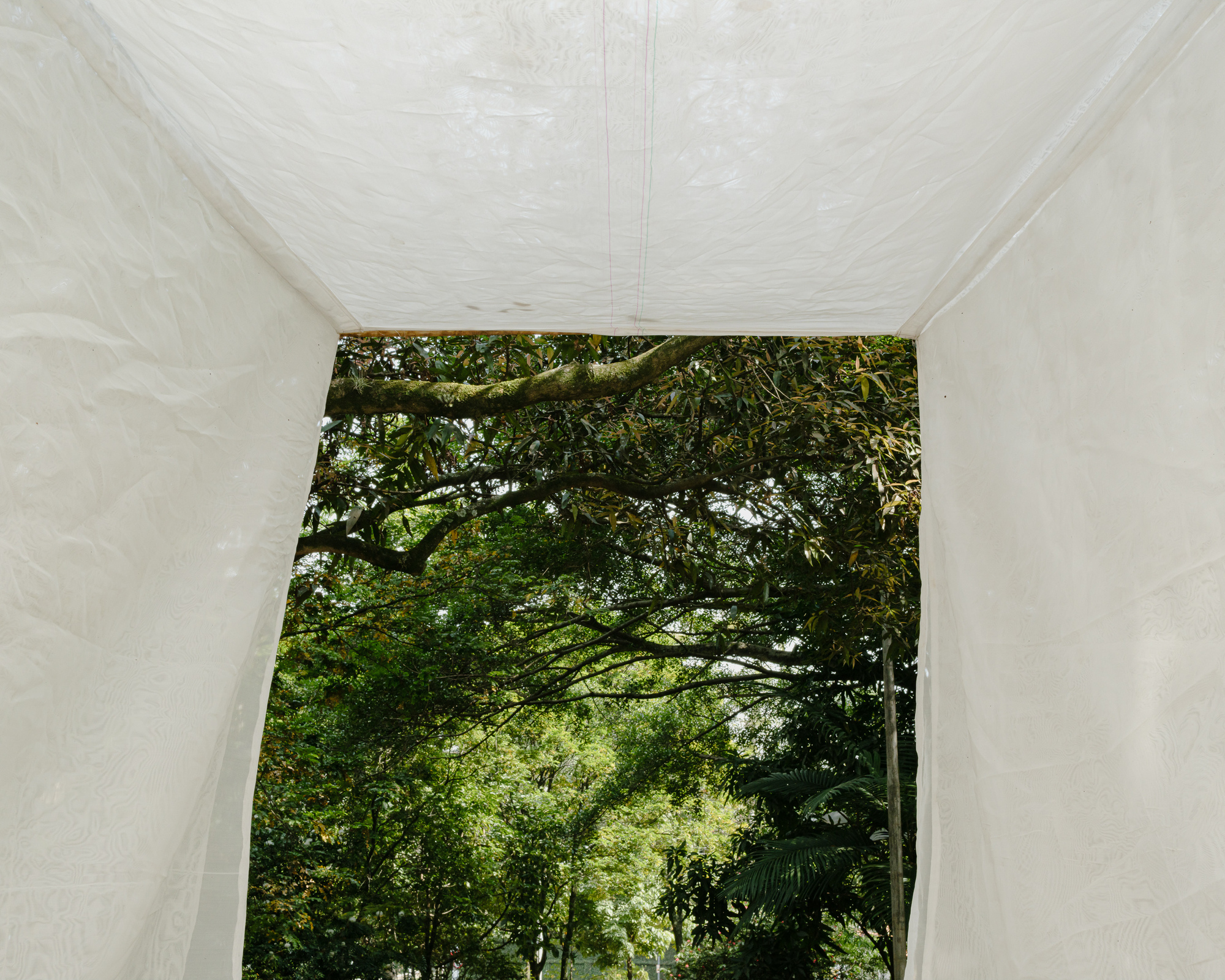 Interior view of fabric pavilion framing an arched tree opening to the forest beyond