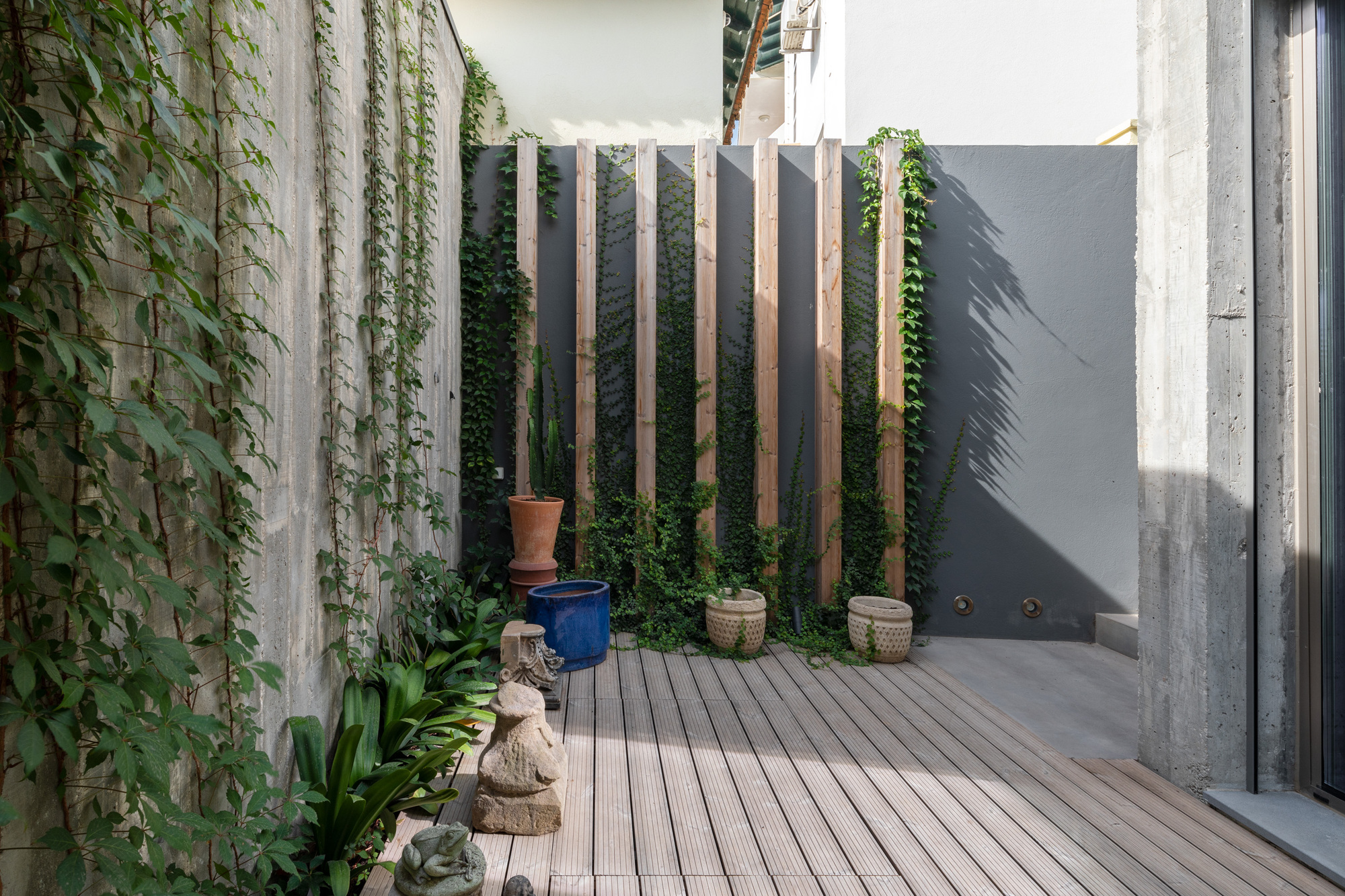 Timber-decked courtyard with vertical timber battens and climbing vines against board-formed concrete walls in afternoon light