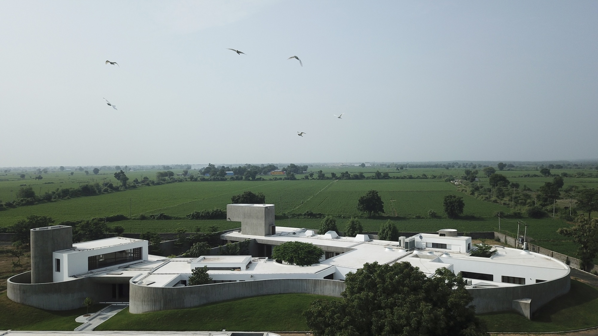 Aerial view of the curved white concrete volumes arranged around a central courtyard with birds overhead