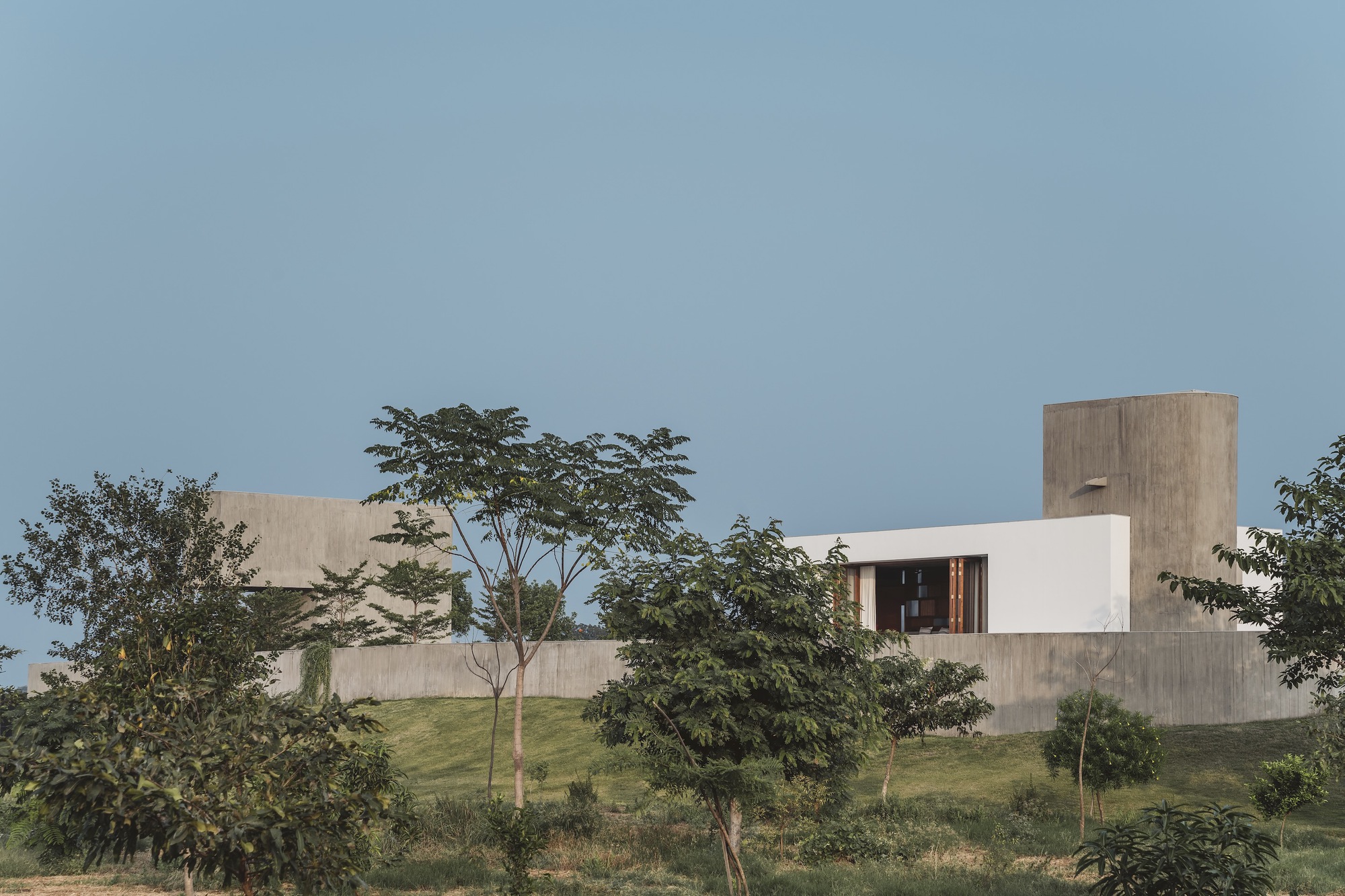 Board-formed concrete volumes and white plaster walls set among young trees on a grassy hillside