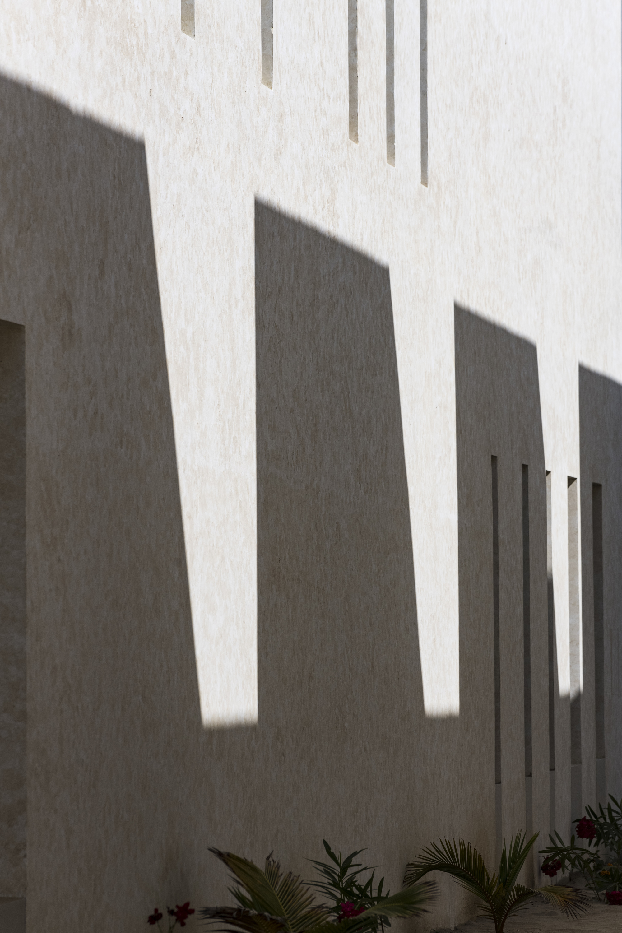 White stucco wall in bright sunlight casting vertical shadows with low plantings below