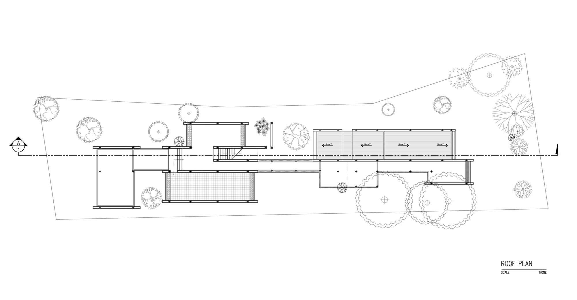 Roof plan drawing illustrating flat roofs at different levels with circular tree canopies along the perimeter