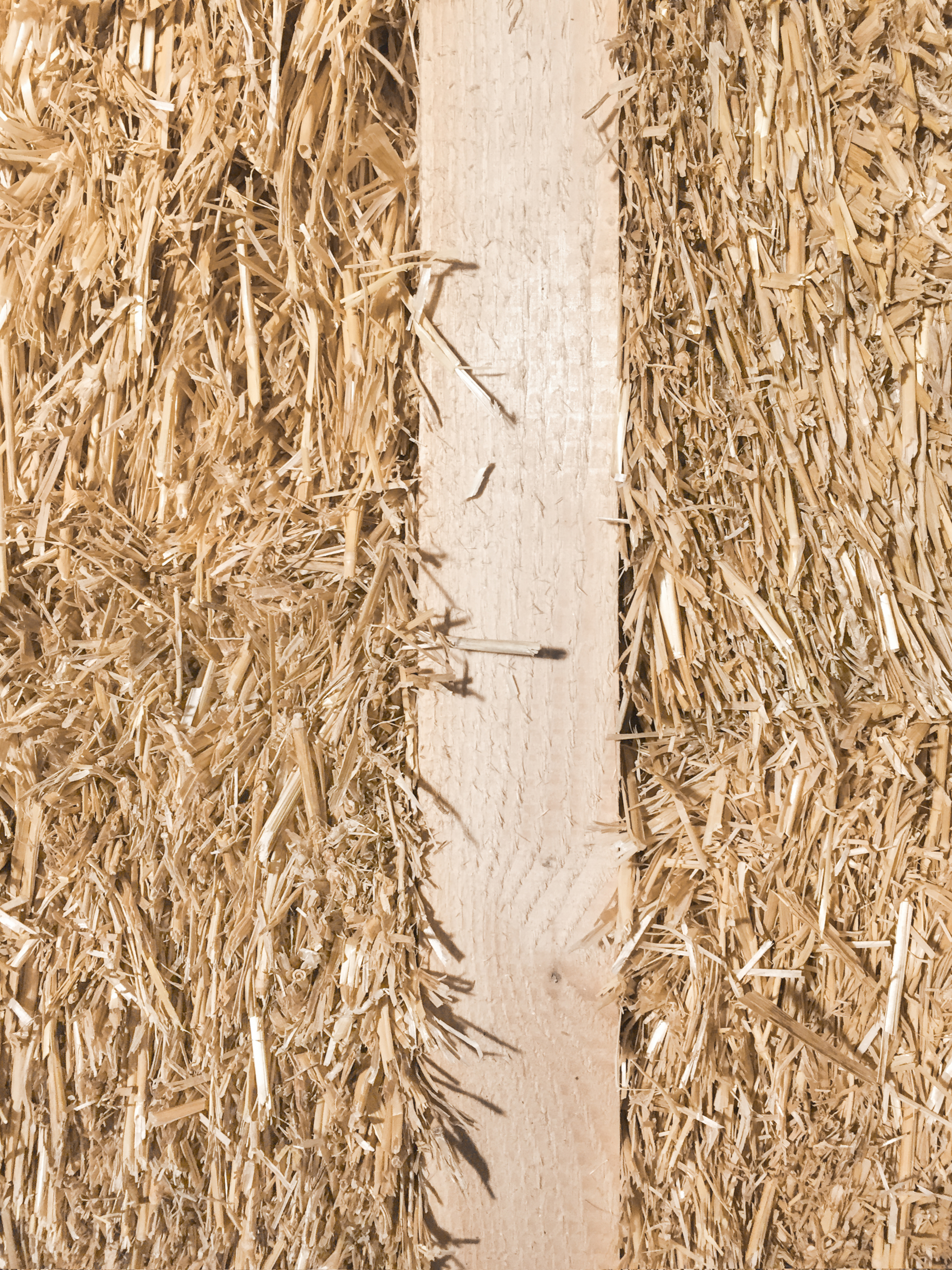 Detail of straw insulation panels meeting a vertical timber structural element