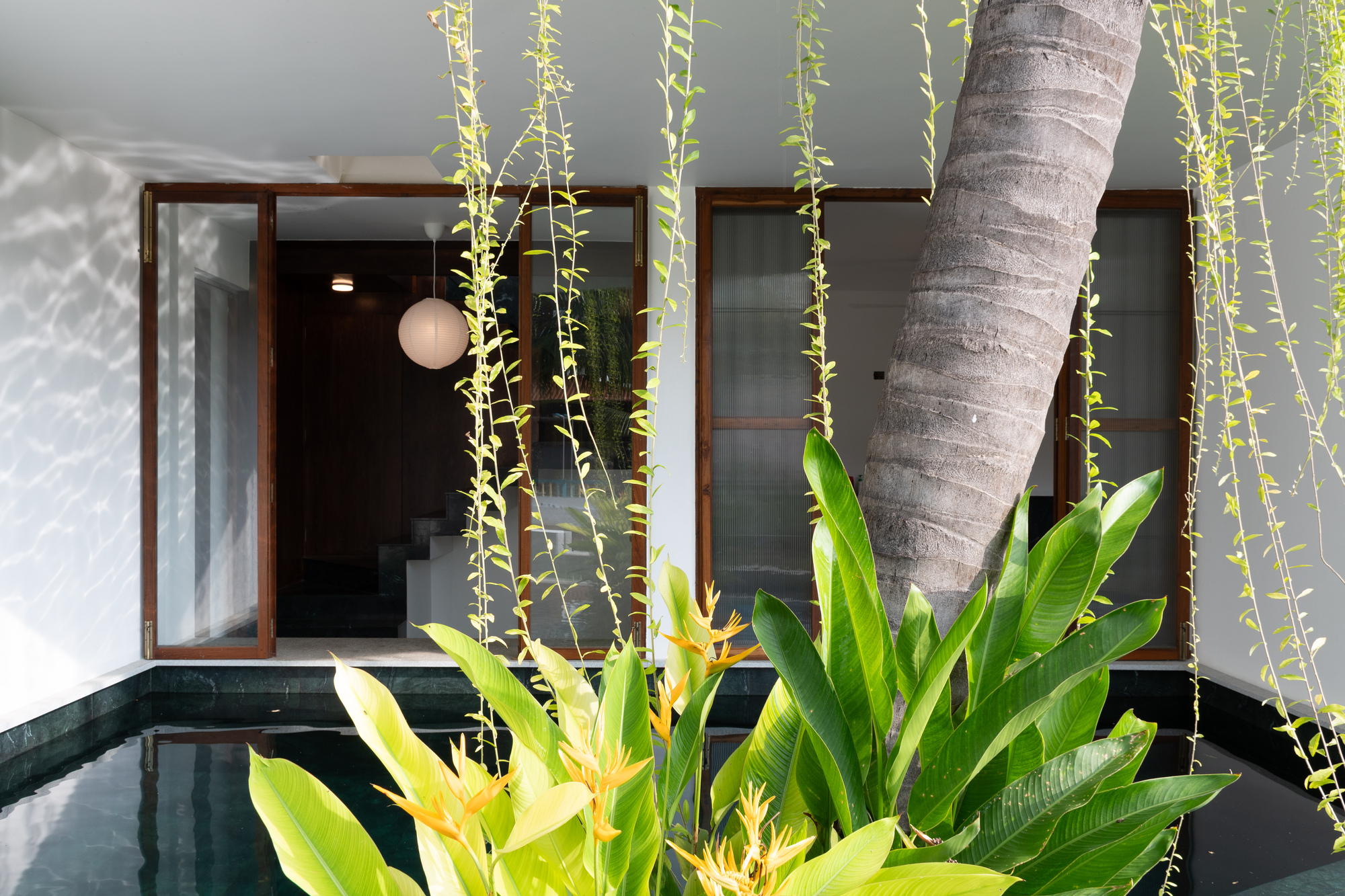 Courtyard pool with dark granite edge bordered by bird-of-paradise and cascading vines