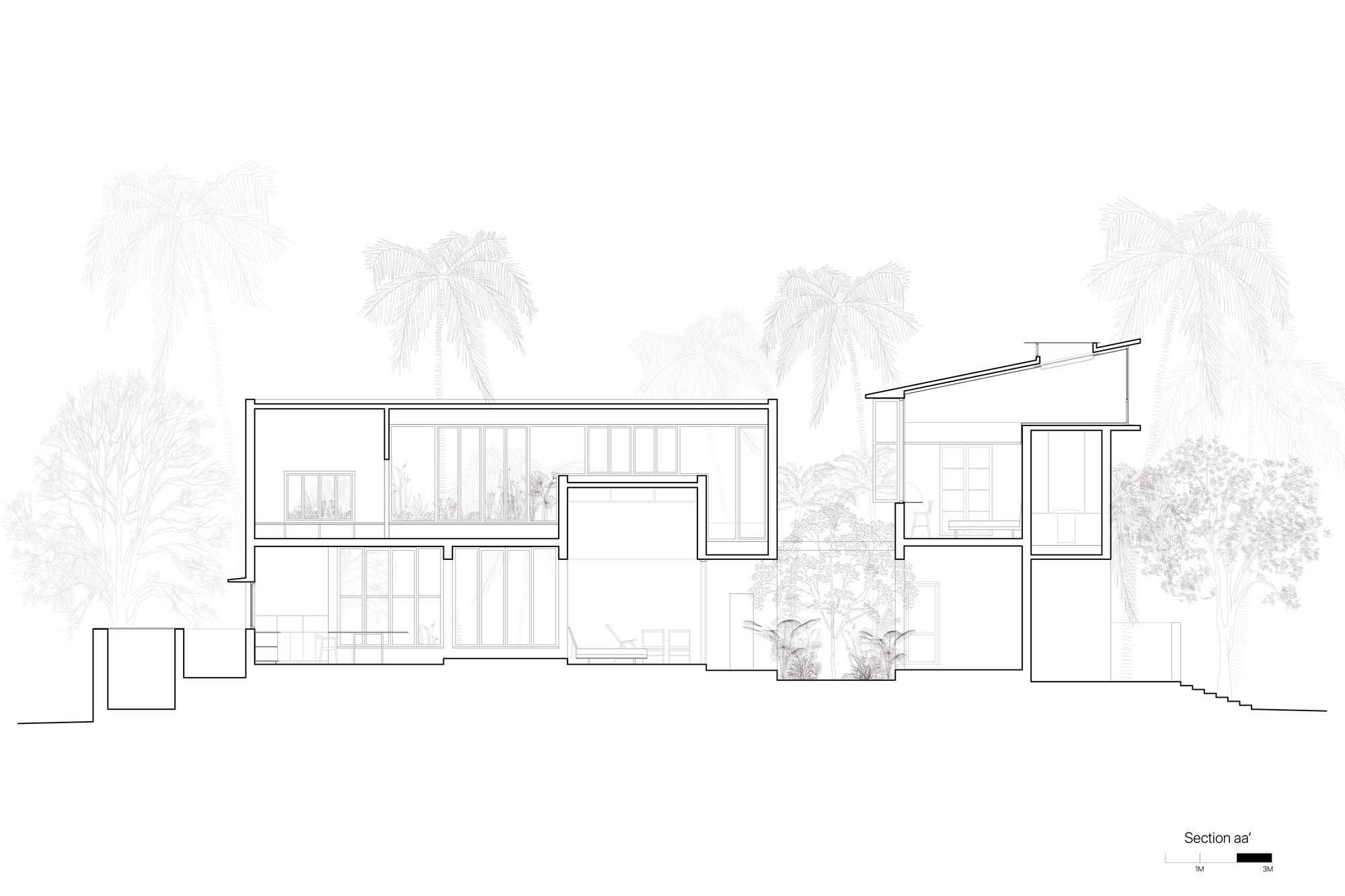 Section drawing revealing staggered roof heights and interior spaces with palm trees in the background