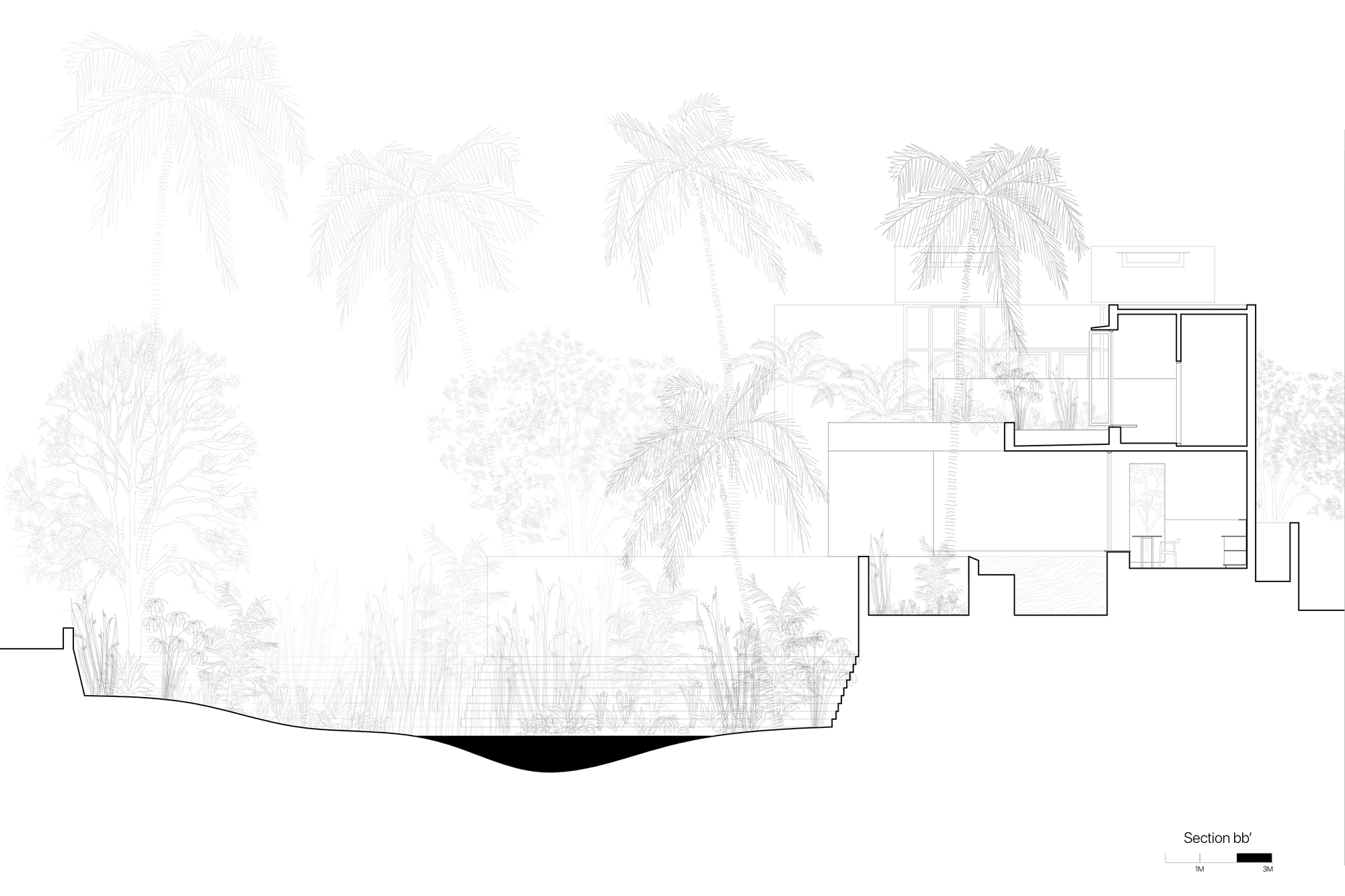Section drawing showing the dwelling perched above a curved retaining wall with dense tropical vegetation