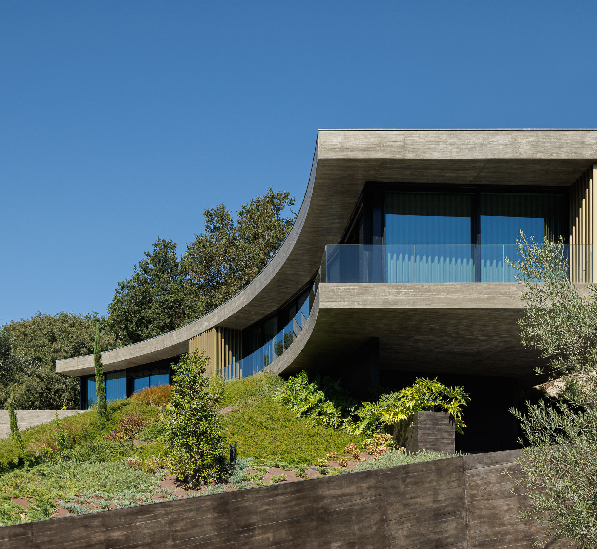 Curved concrete roof extending over glazed volumes with vertical timber fins and a green planted slope