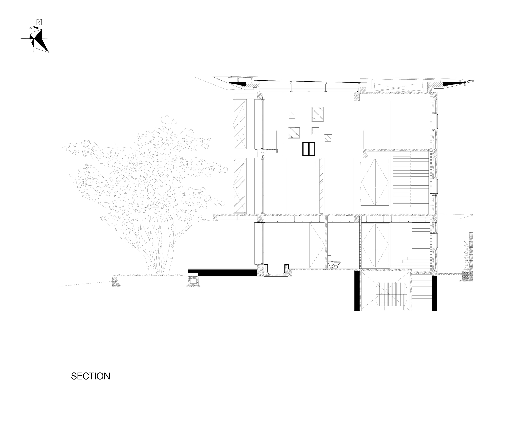 Section drawing showing interior spaces with a tree on the left and overhanging roof detail
