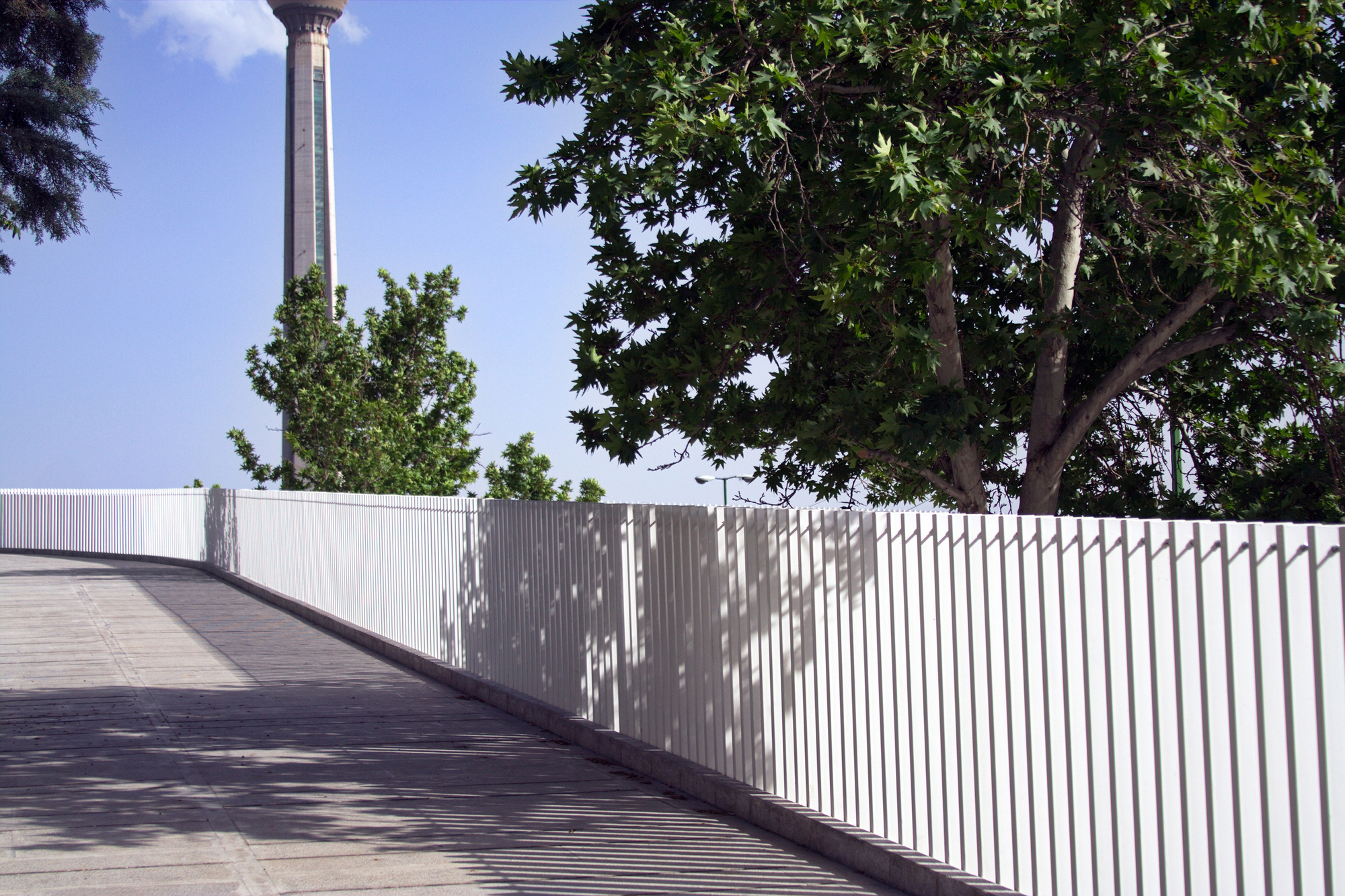 White slatted balustrade curving through dappled tree shadows on the elevated walkway