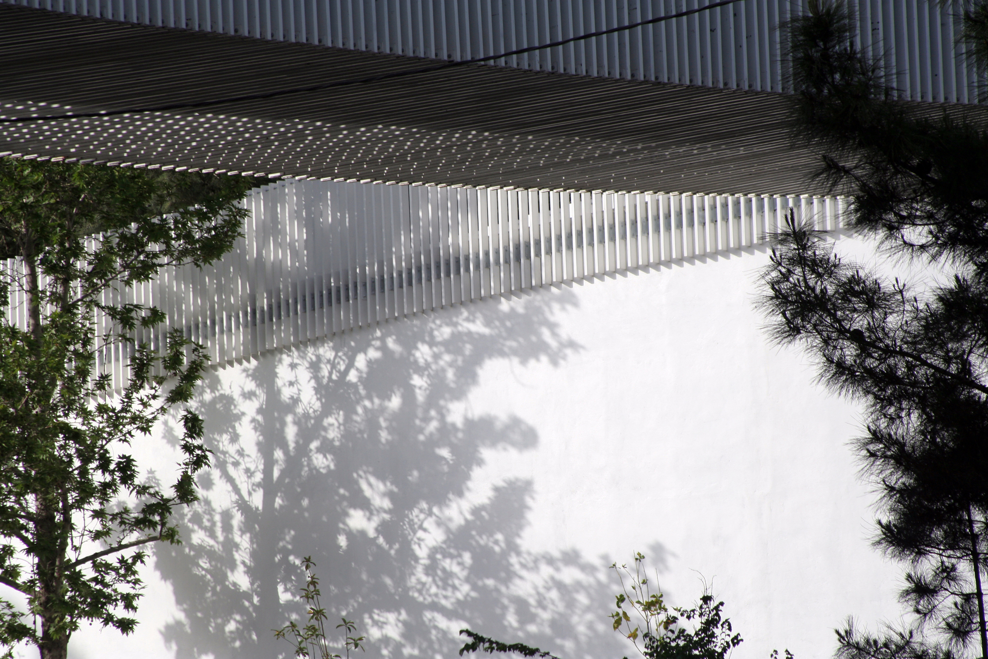 Tree shadow patterns cast across the white vertical screen wall with slatted canopy overhead