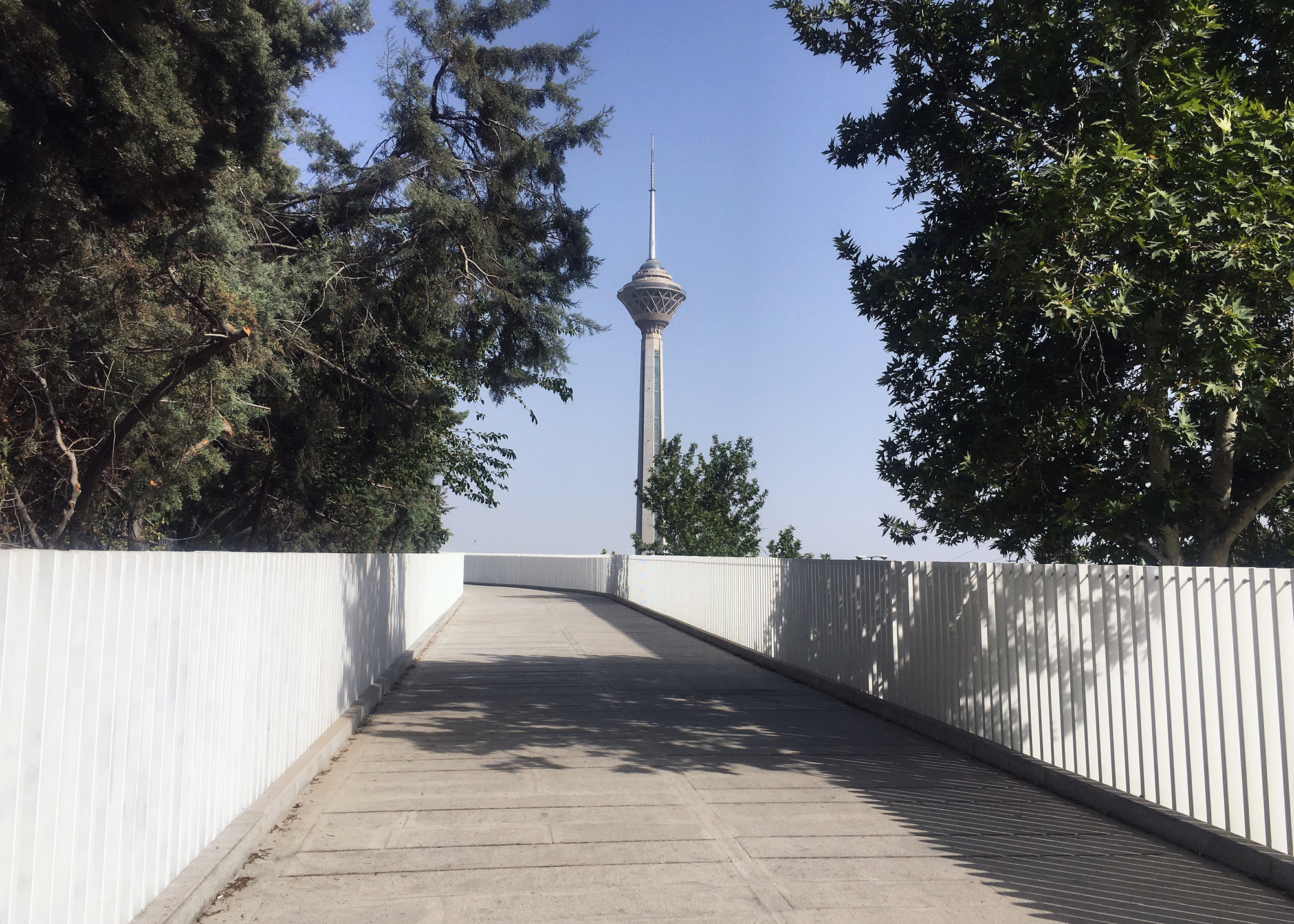 Curved bridge deck with white slatted railings framing a distant telecommunications tower under clear sky