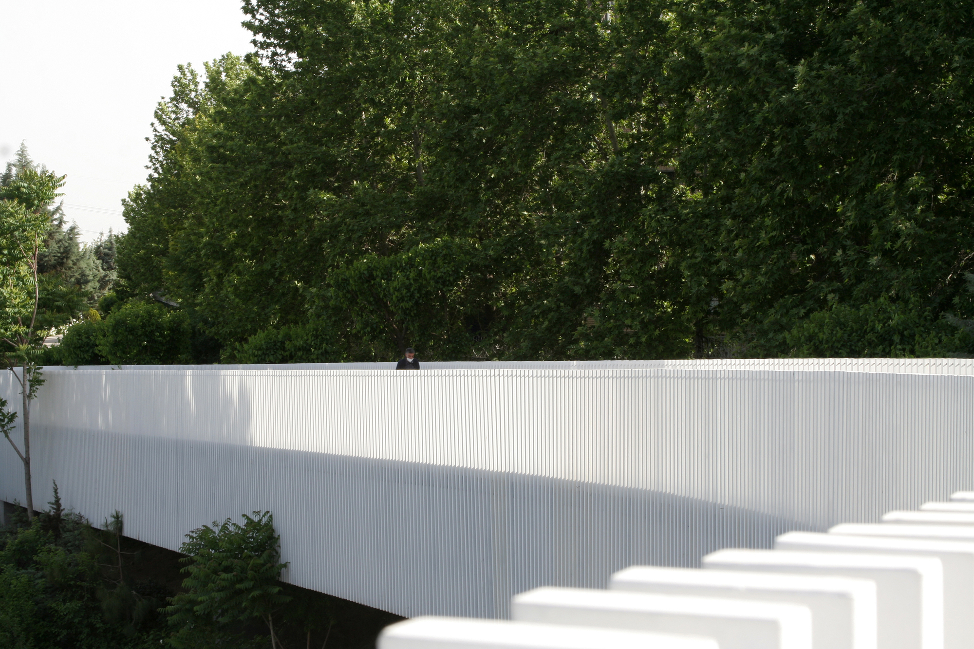 White vertical slat barrier backed by dense foliage with dappled shadows falling across its surface
