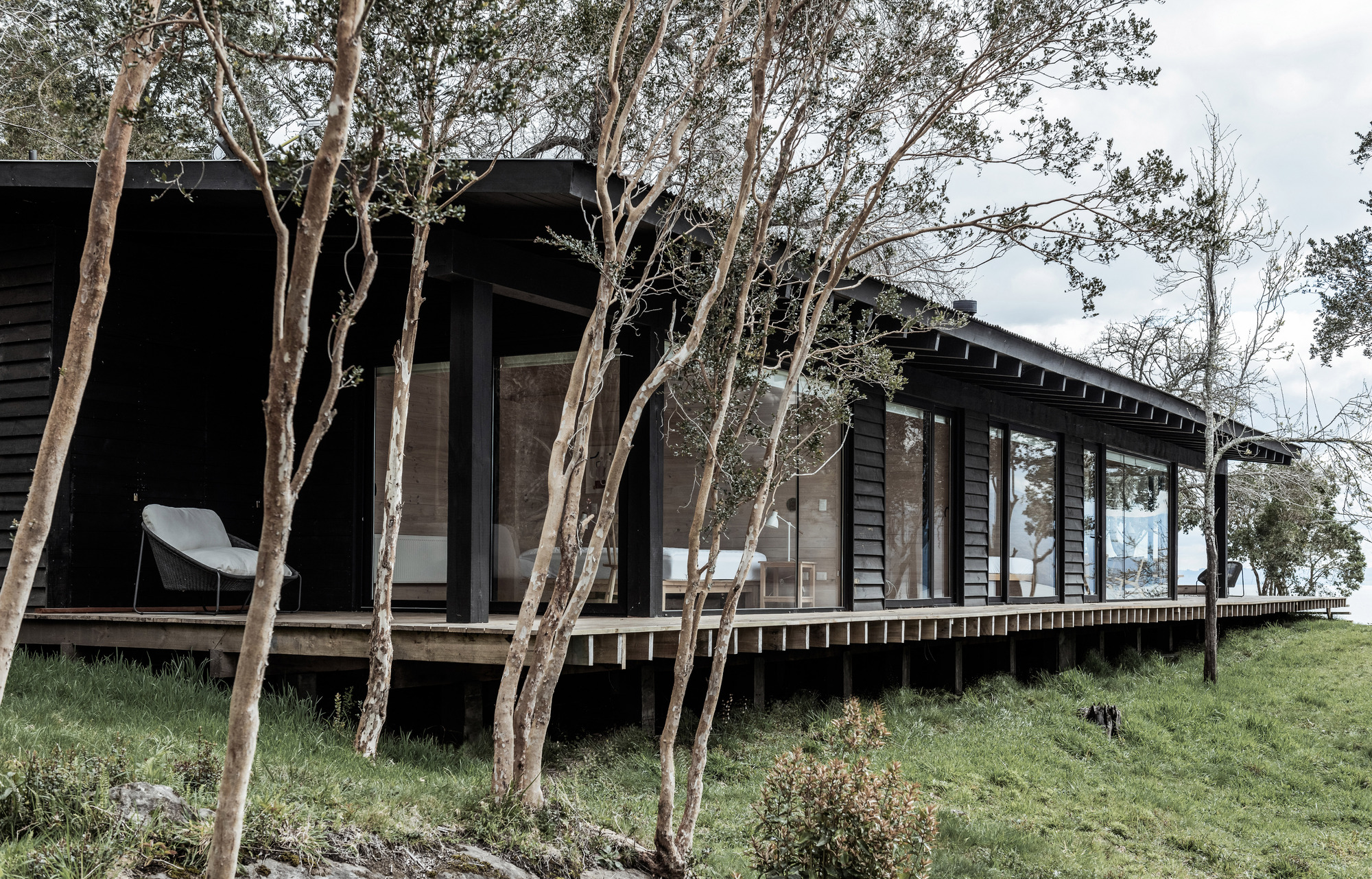 Elevated timber deck and continuous glazing along the lakeside elevation framed by slender eucalyptus trunks
