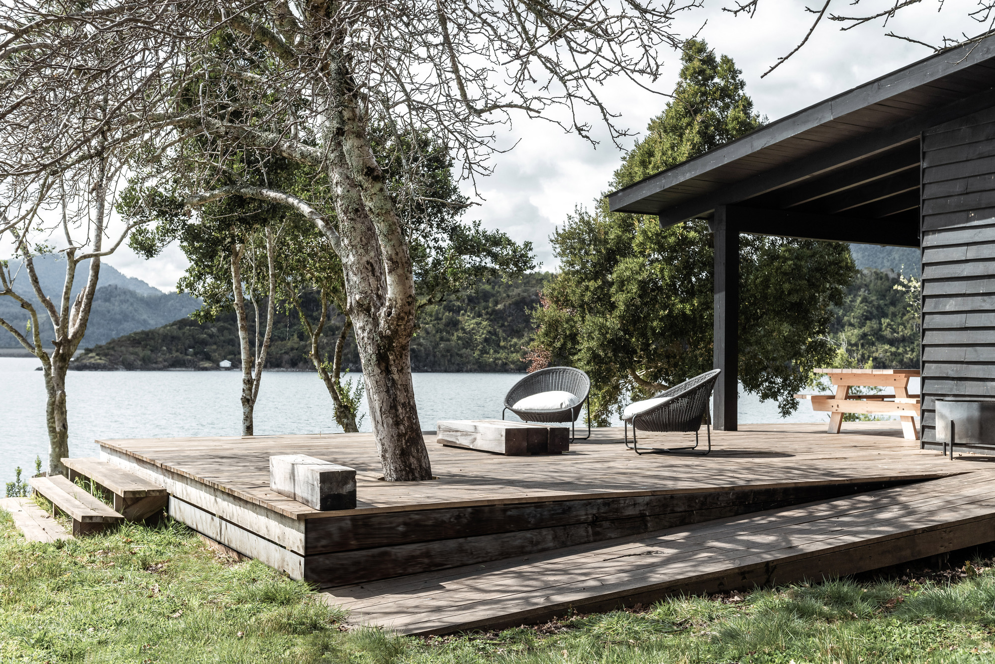 Raised timber terrace with integrated planters and a tree trunk penetrating the deck boards