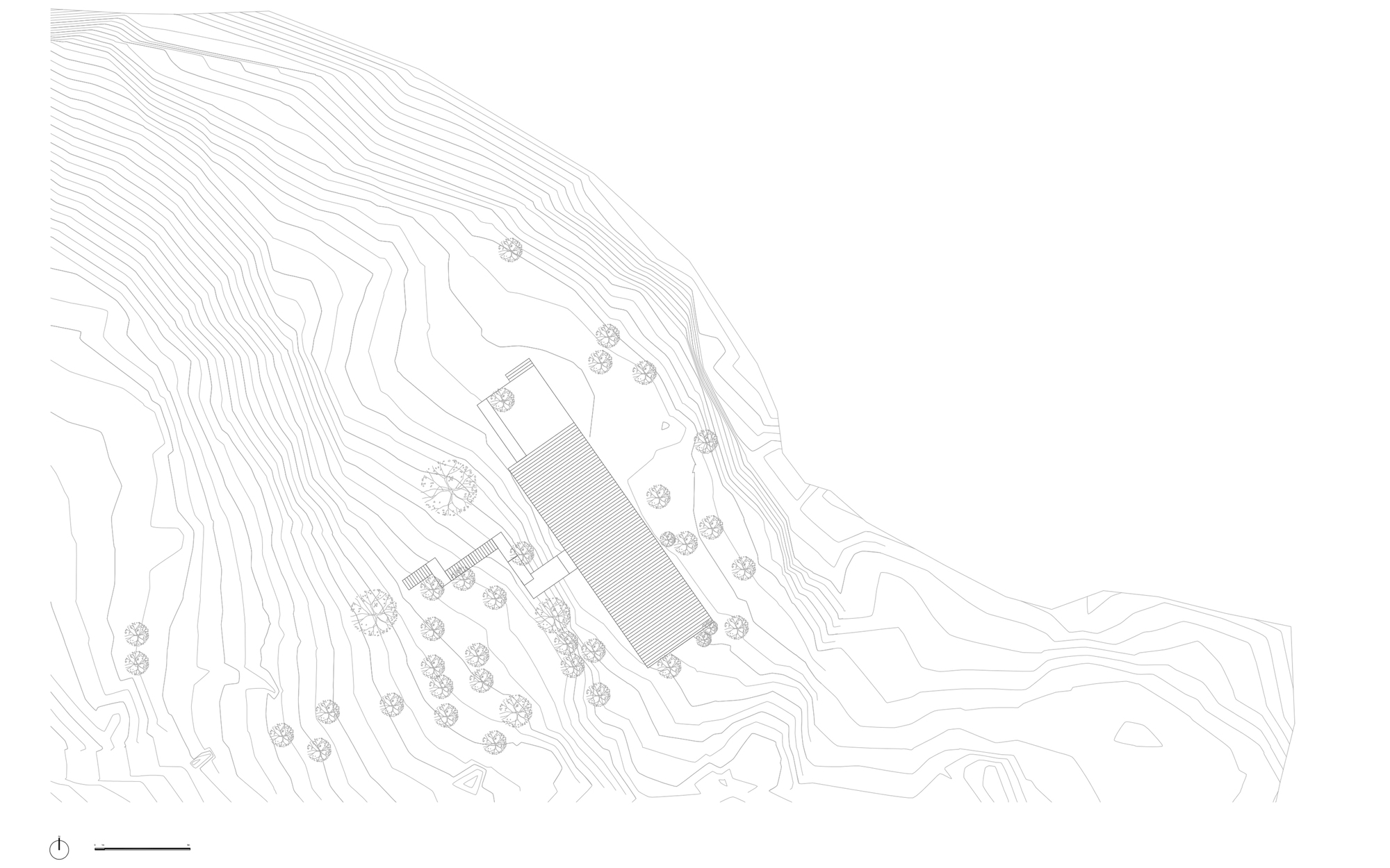 Site plan drawing showing a linear volume on sloped topography with contour lines and scattered trees