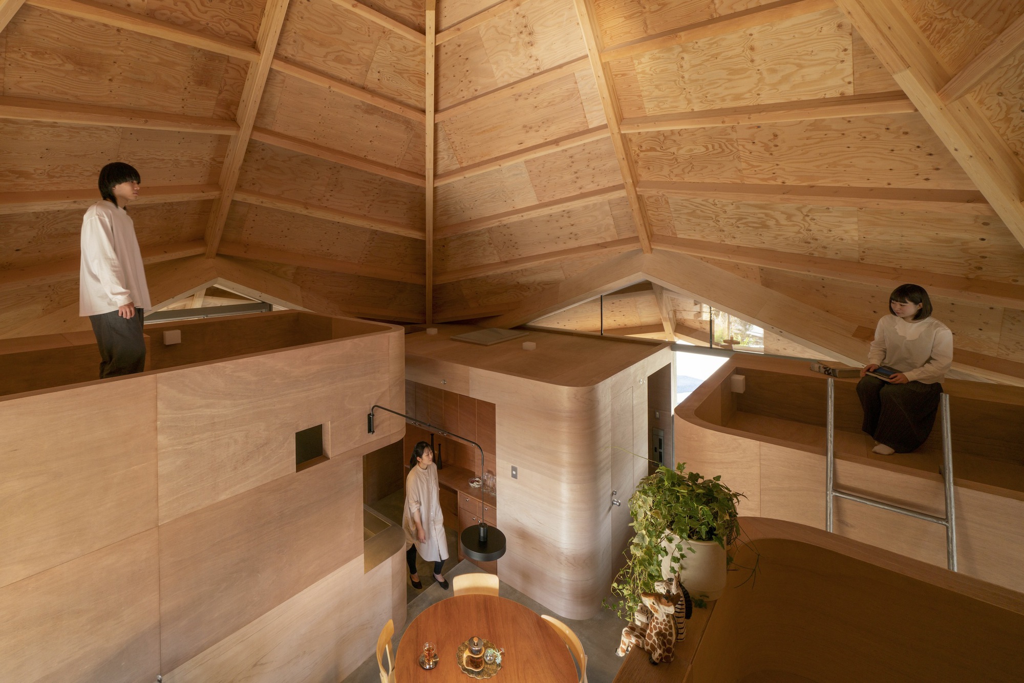 Multi-level plywood platforms with occupants at different heights beneath the exposed timber roof structure