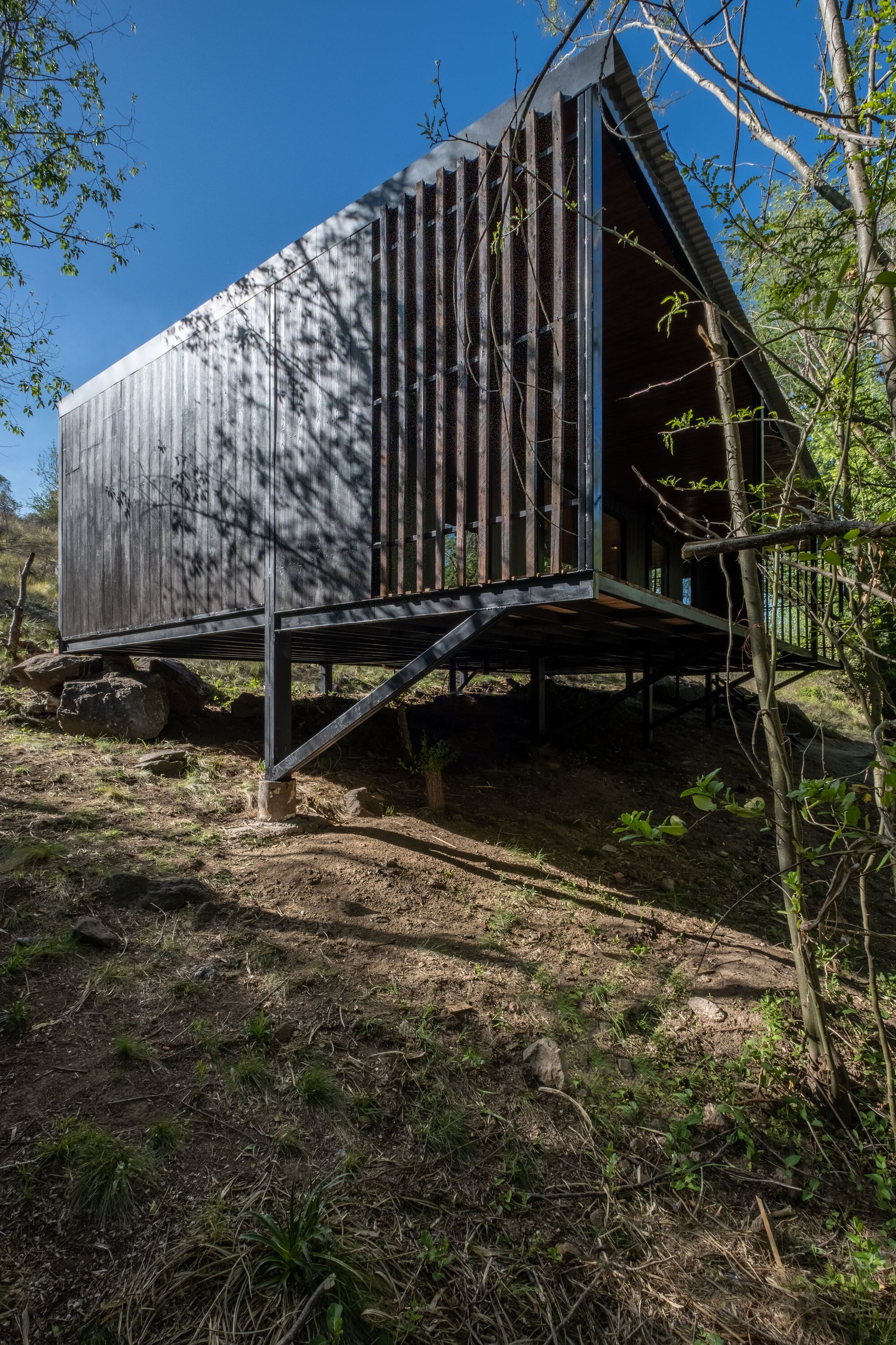 Gabled timber cabin on steel stilts amid native trees and dappled sunlight