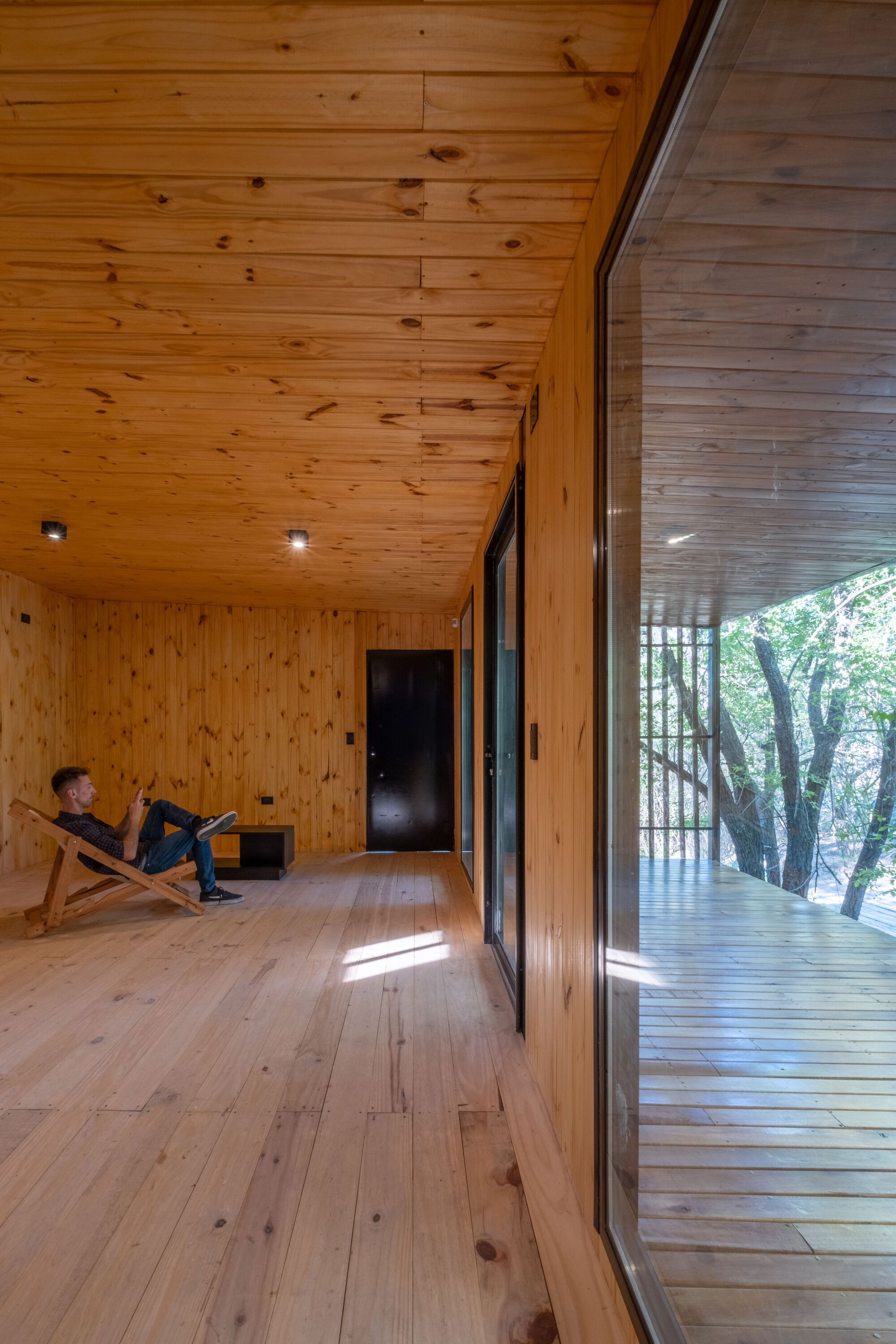 Person reading in a deck chair inside the pine-clad interior overlooking the forest