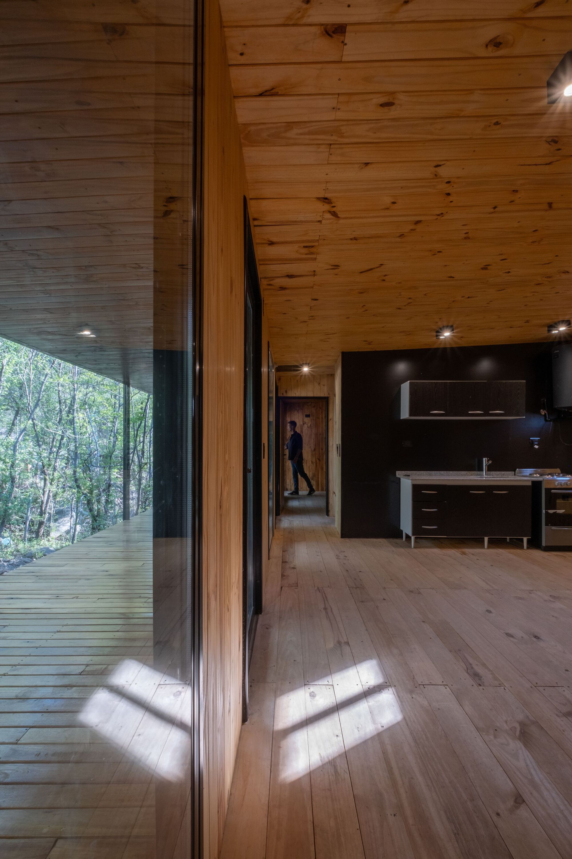 Interior view of the timber-clad living space with floor-to-ceiling glazing opening onto a wooden deck in the forest