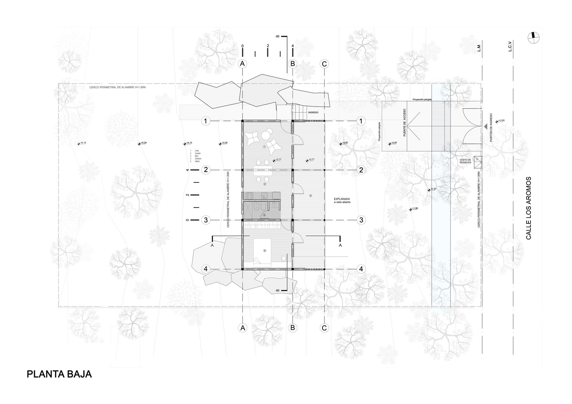 Ground floor plan drawing showing interior room divisions and surrounding trees in plan view