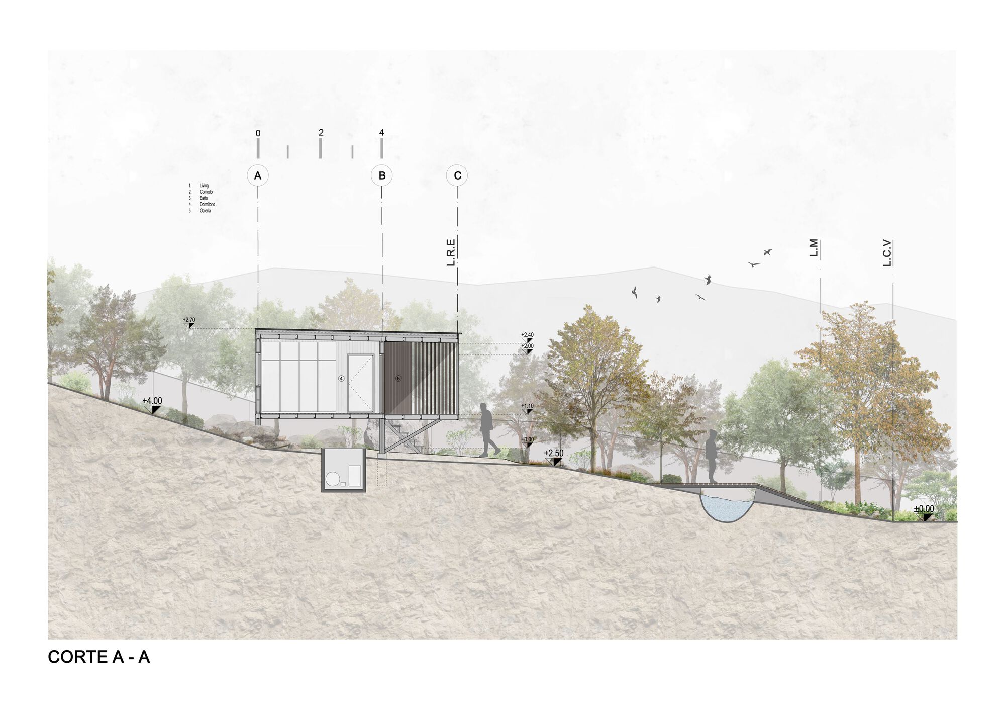 Section drawing depicting the structure on a sloping site with mature trees and flying birds