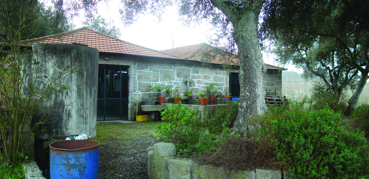 Stone block outbuilding with terracotta tile roof surrounded by trees and planted pots in the mist