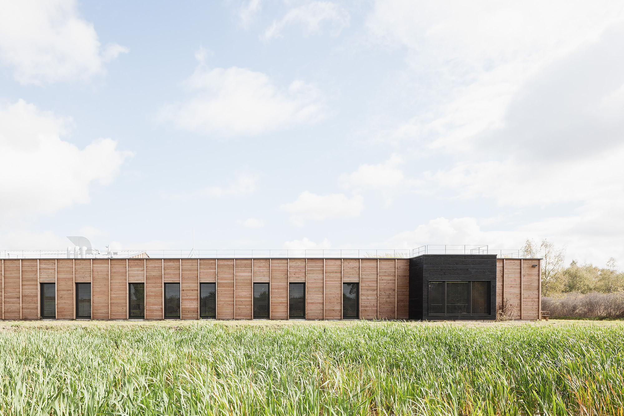 Horizontal timber facade with regularly spaced windows viewed across a green field in spring