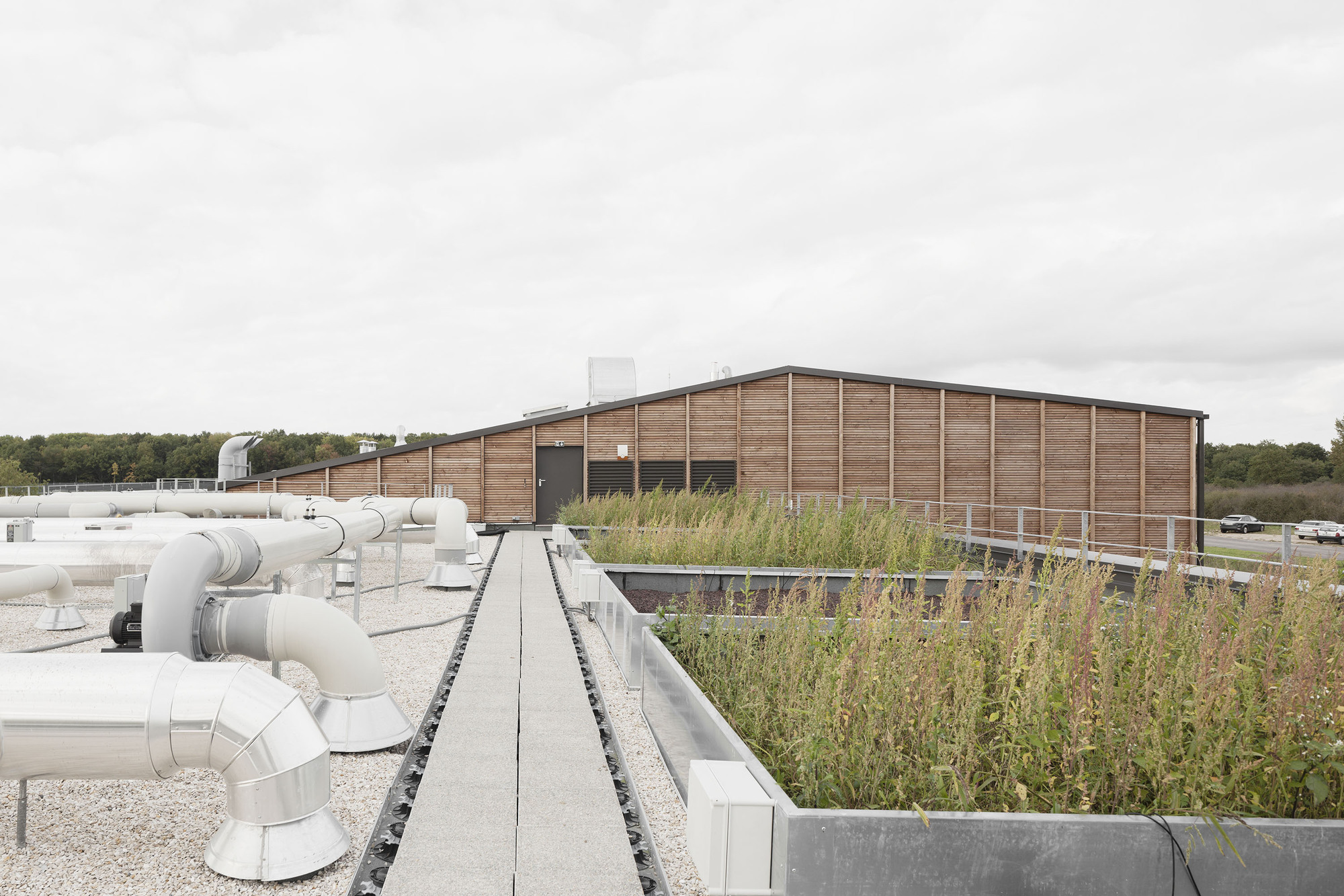 Rooftop view showing planted green roof with white ventilation ducts and timber-clad volume behind