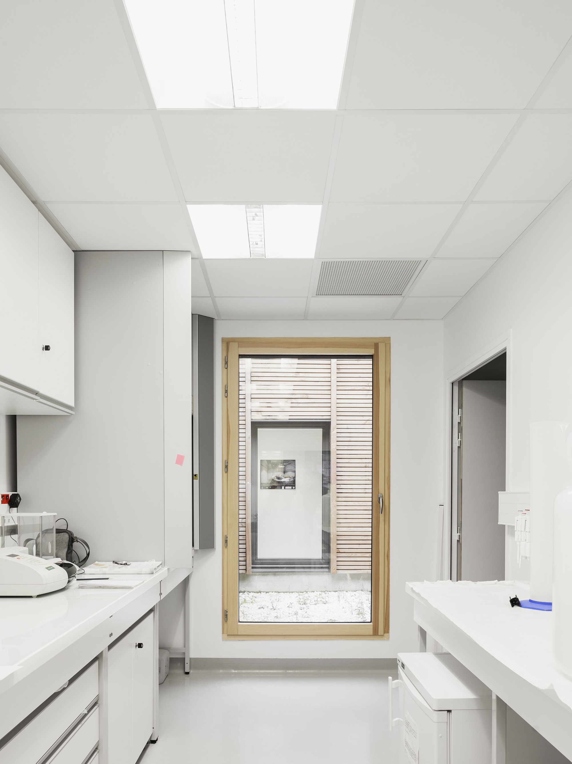 Laboratory corridor with white worktops and timber-framed window revealing horizontal louvres and a gravel courtyard beyond