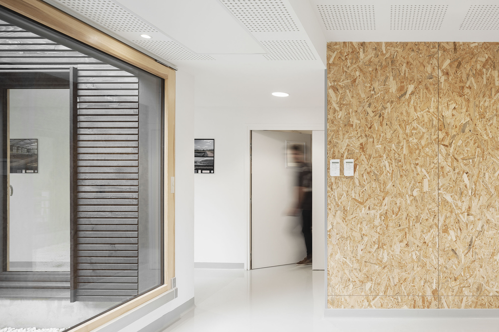 Interior hallway with oriented strand board wall panels and a blurred figure walking through an open doorway