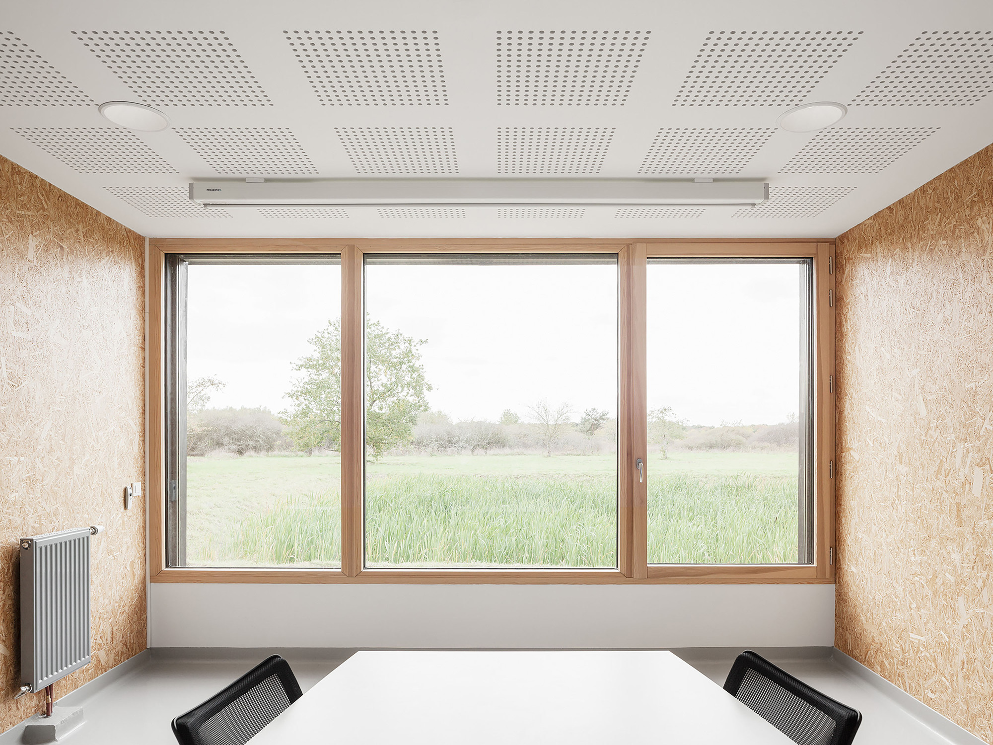 Meeting room with perforated acoustic ceiling panels and triple windows framing views of green fields under overcast skies