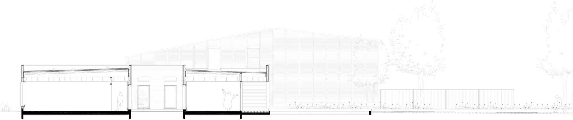 Section drawing showing interior ceiling heights and exterior tree canopy along the length of the building