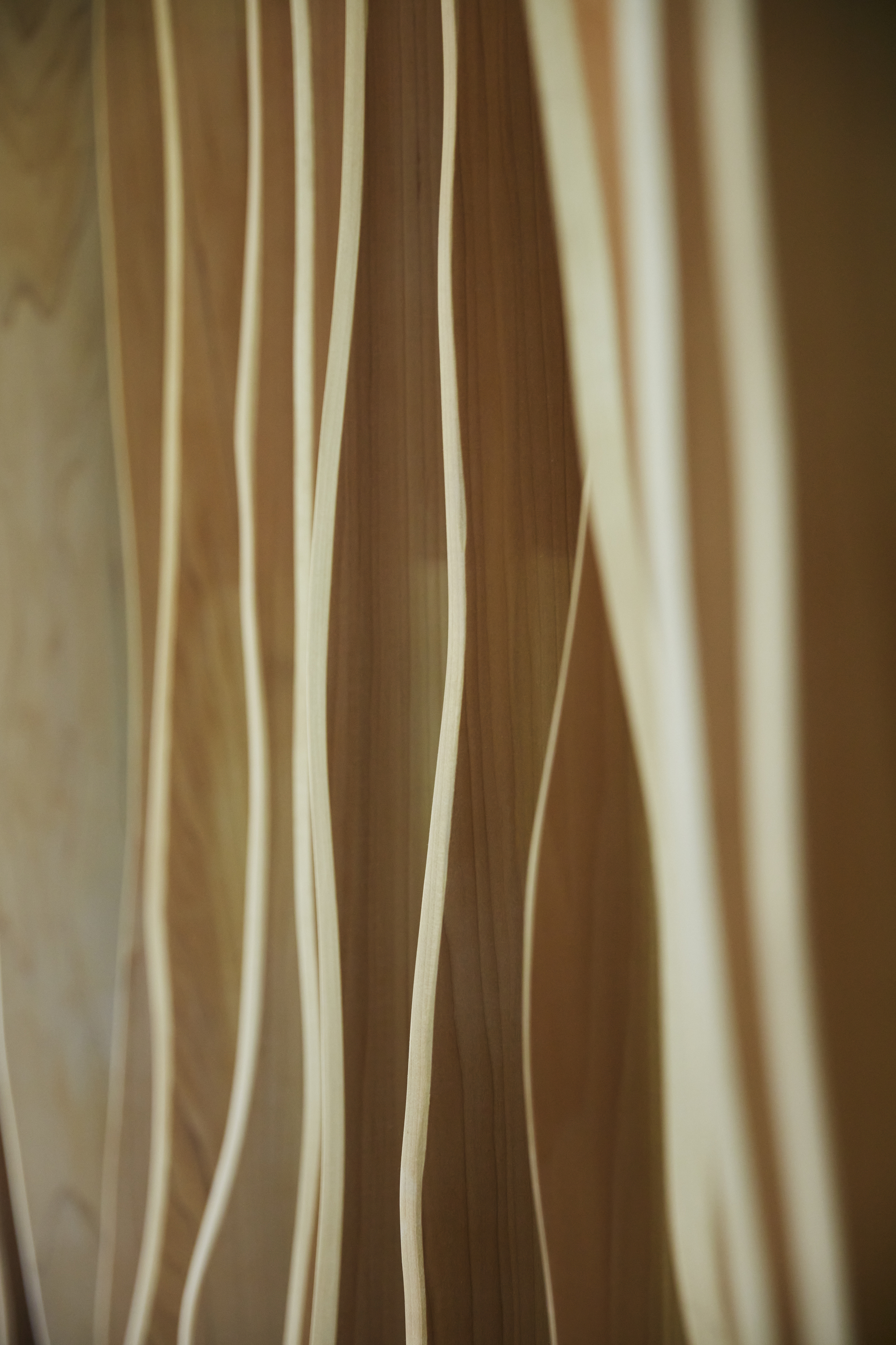 Close-up of vertical timber slats with natural grain and pale tones in soft light