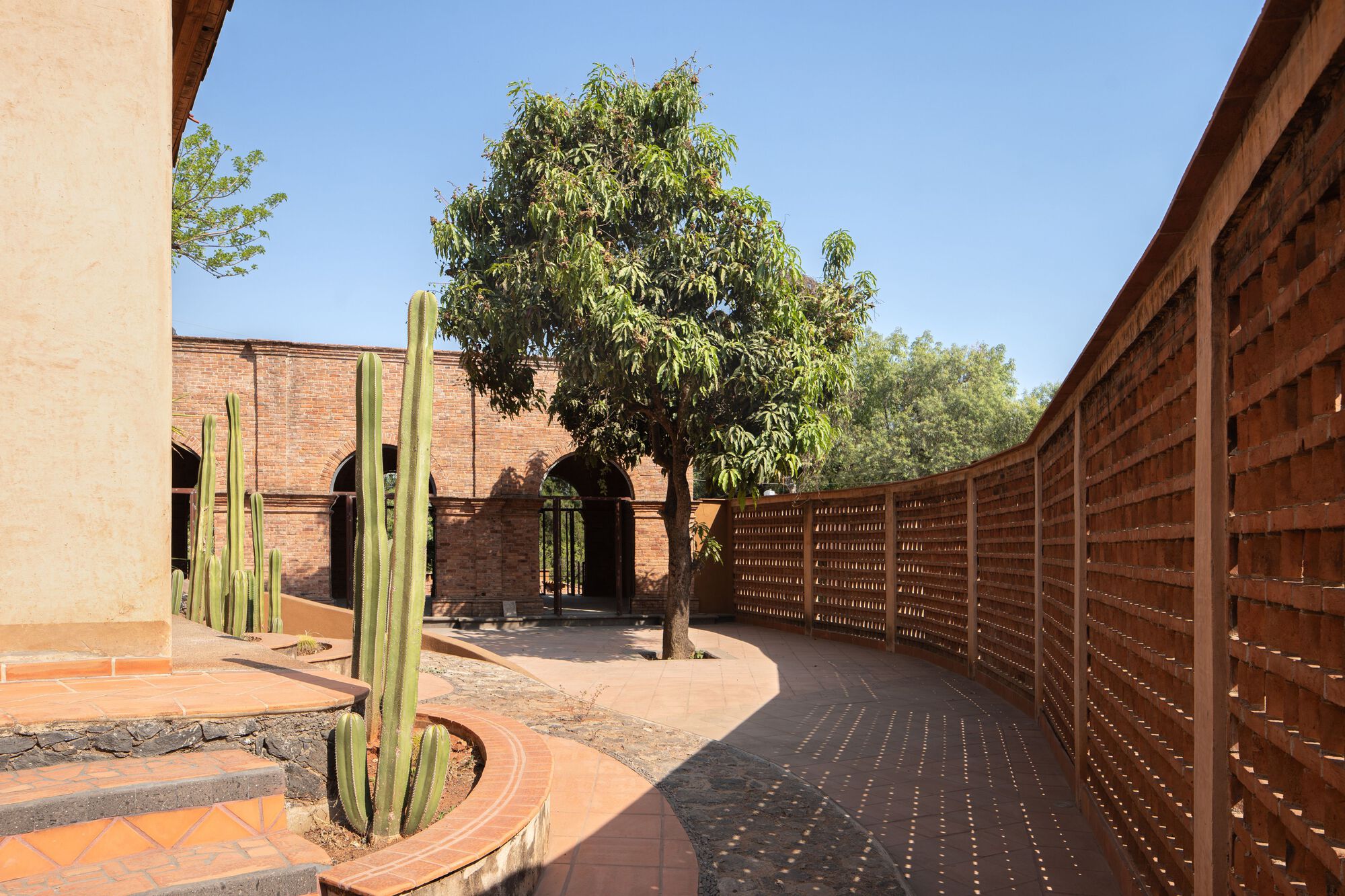 Curved courtyard path with brick screen walls and planted cacti beneath a mature tree