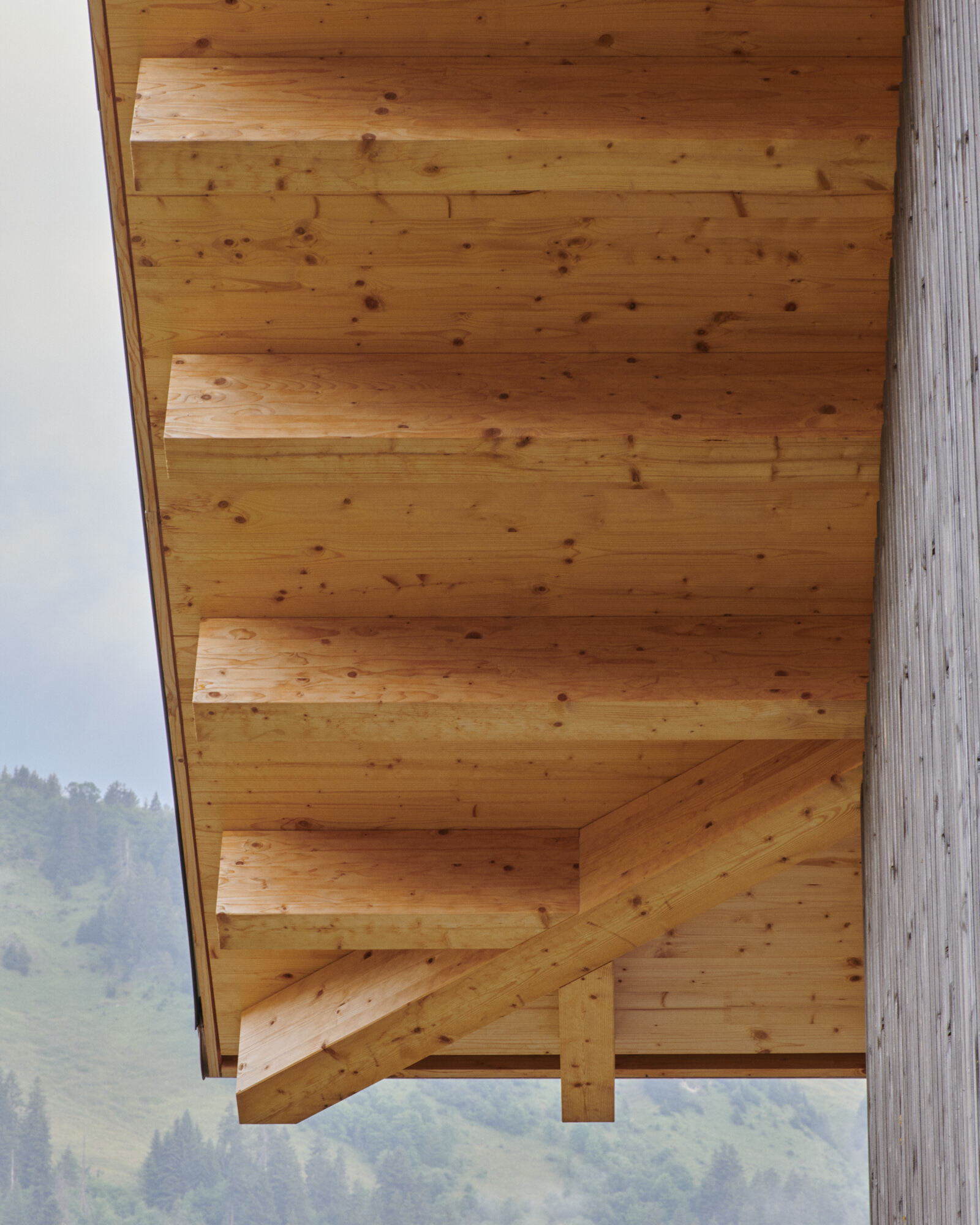 Underside of an overhanging timber soffit with exposed planks and brackets against a green hillside