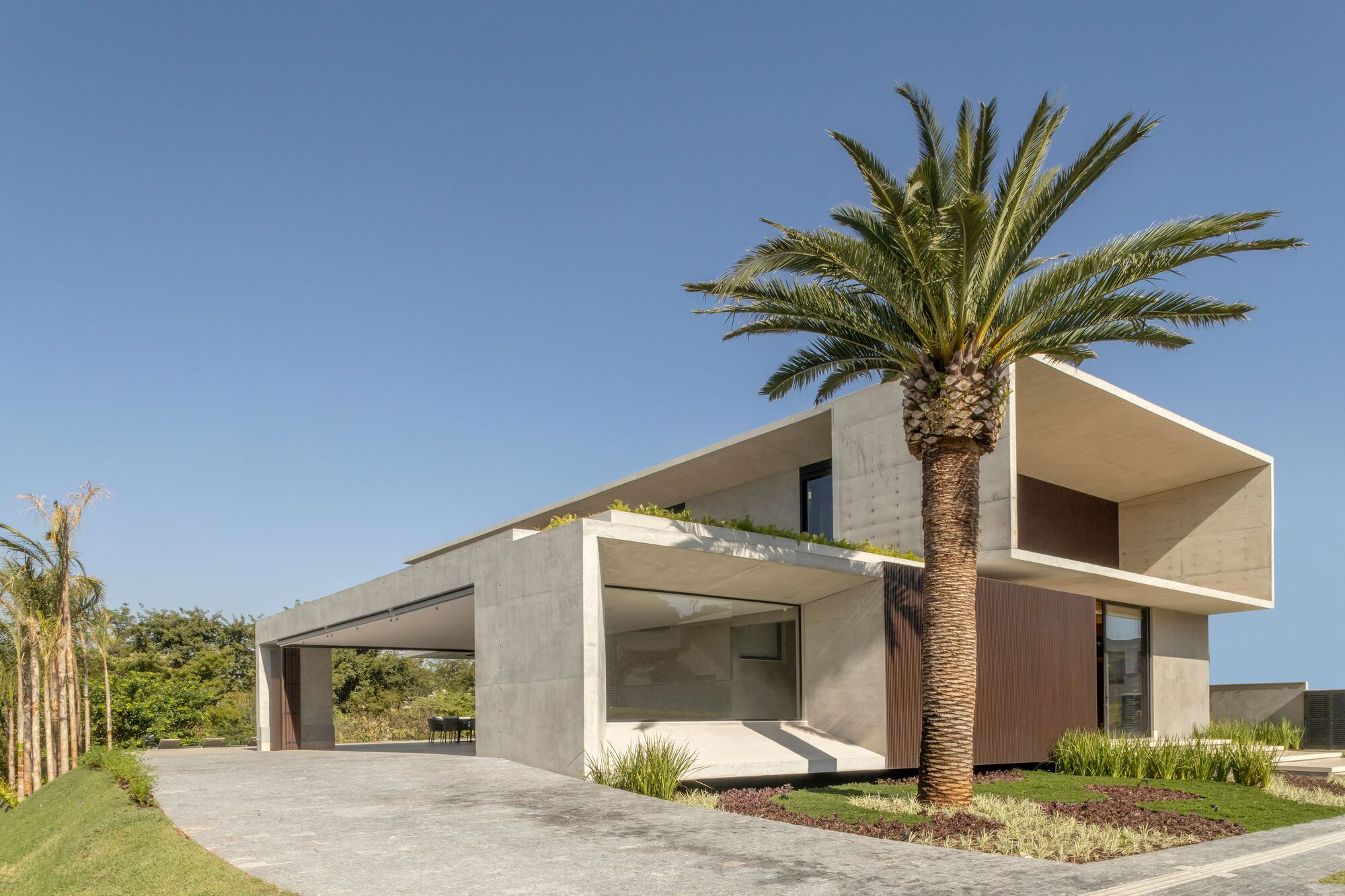 Street view showing interlocking concrete and wood volumes with a mature palm in the forecourt