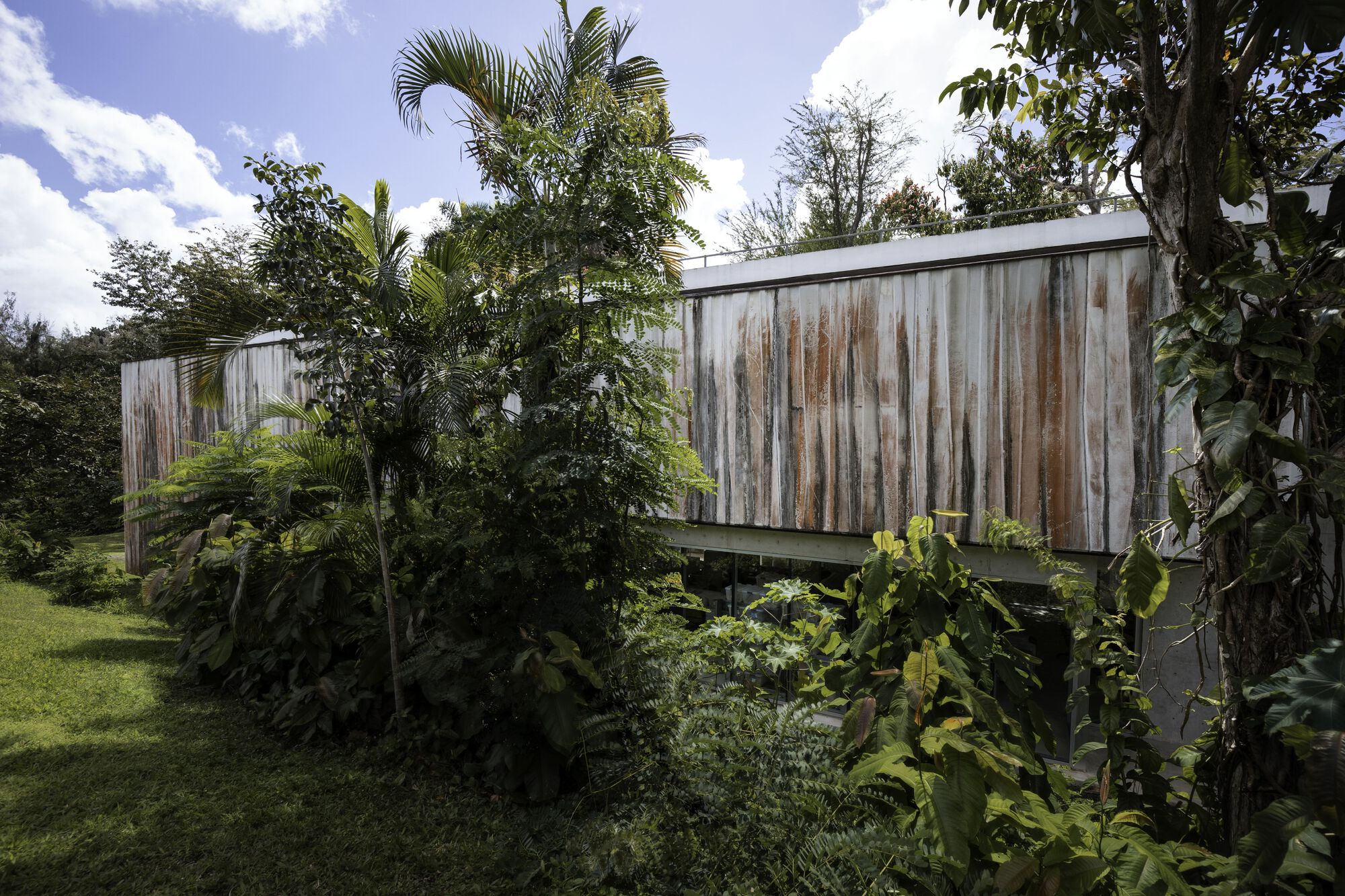 Two timber-clad elevated volumes separated by lush tropical planting under partly cloudy sky
