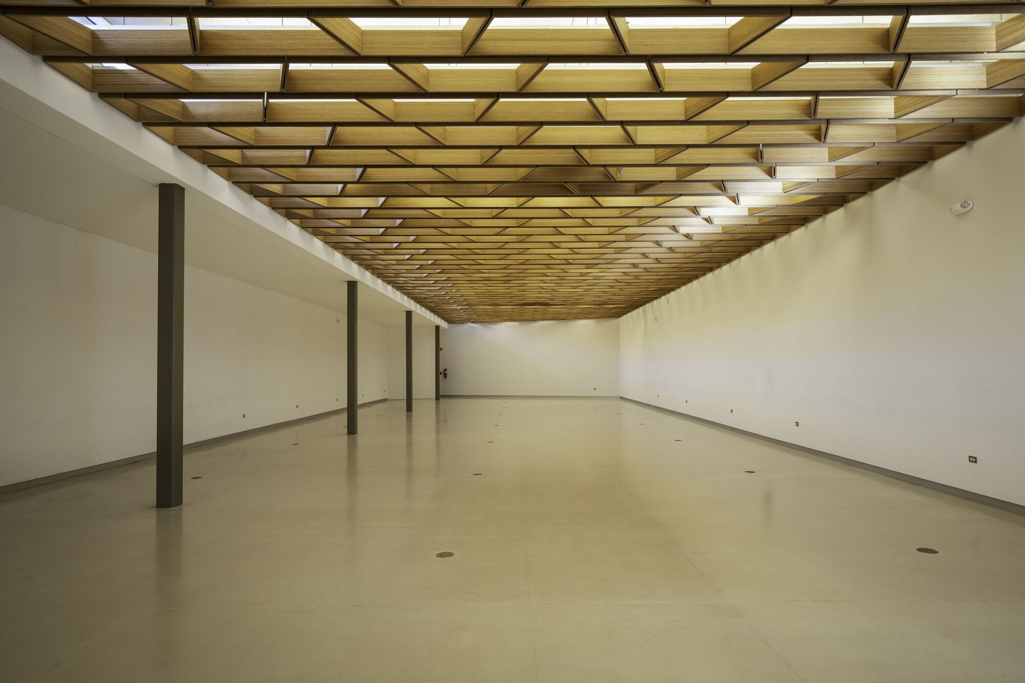 Interior gallery space with coffered timber skylight ceiling and polished concrete floor