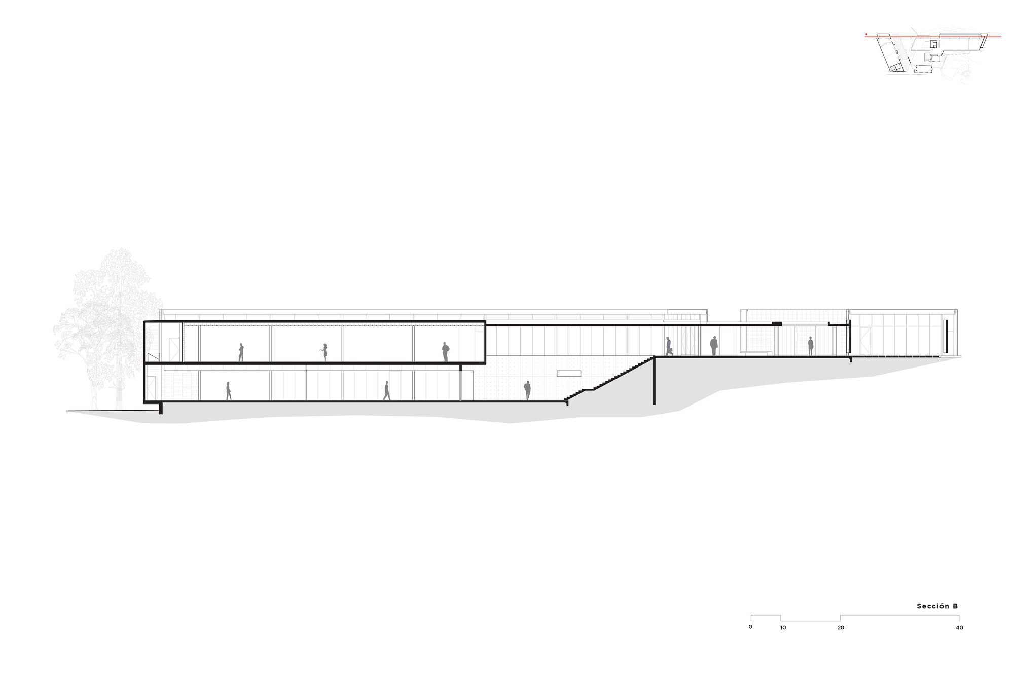 Section drawing revealing the building stepping down a sloped site with trees flanking each end