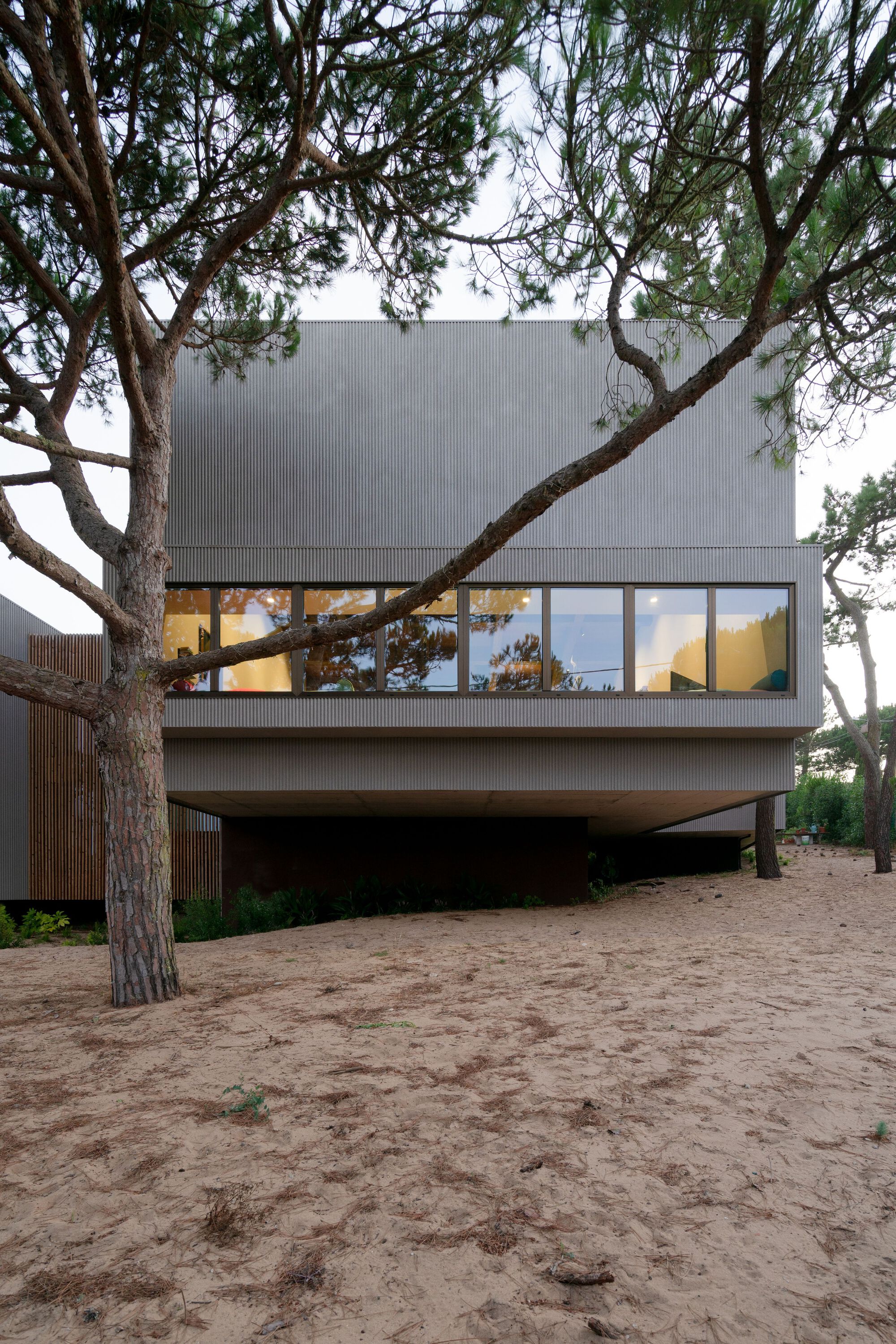 Elevated glazed volume on concrete base with corrugated metal upper level framed by pine branches