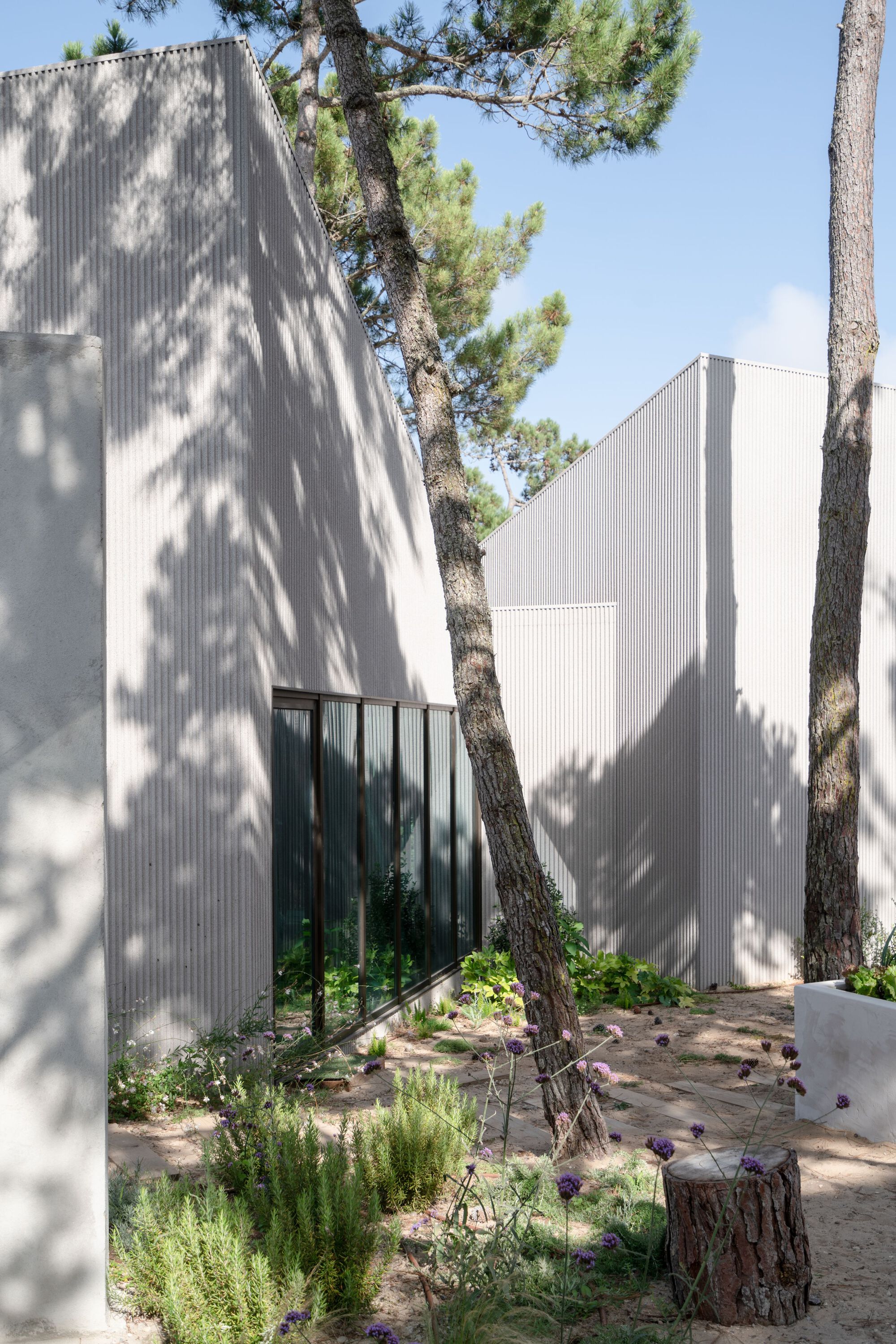 Courtyard garden with planted beds and tree stumps between white corrugated metal volumes casting shadows