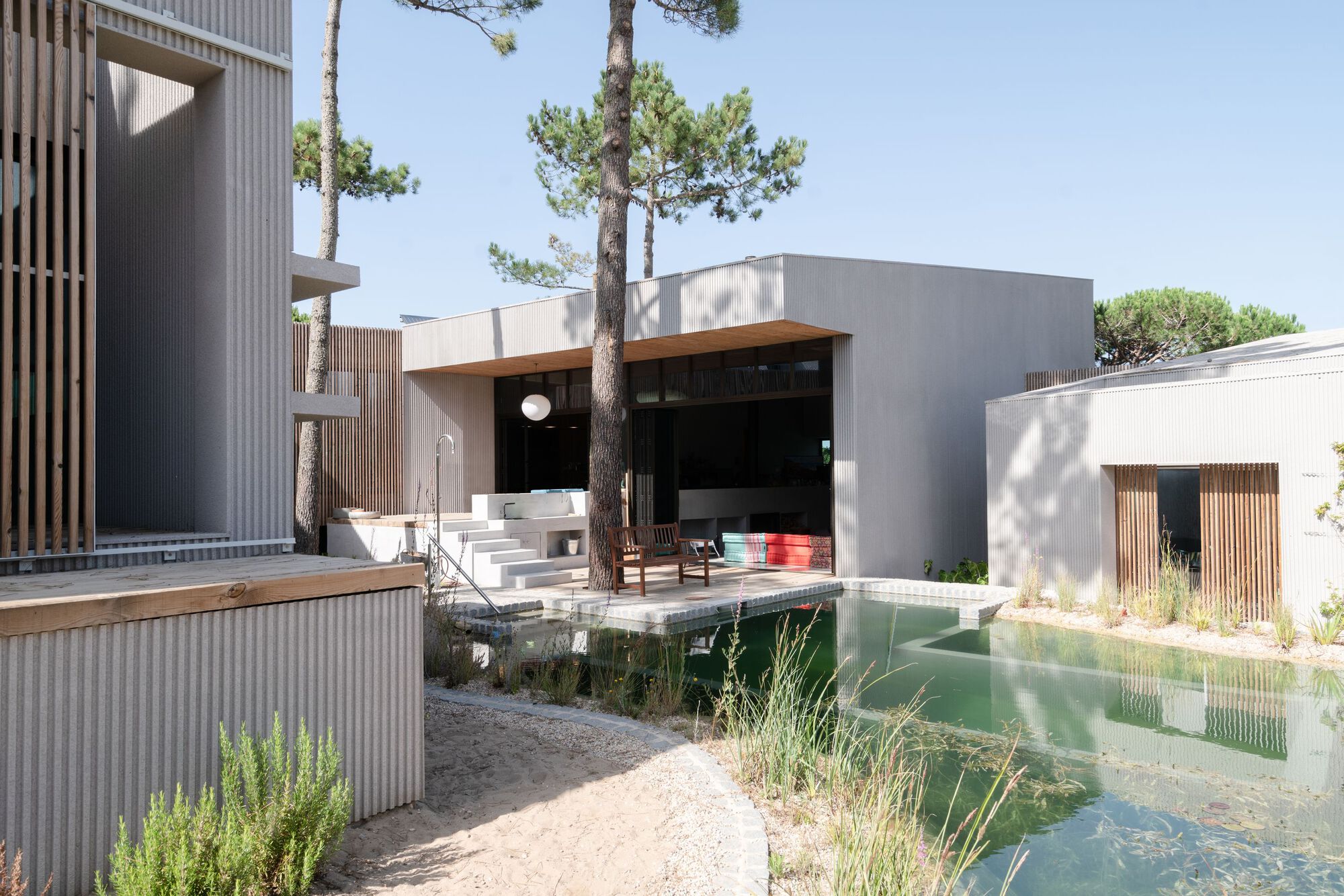 Stepped terrace and pool deck between corrugated metal volumes and pine trees under afternoon sun