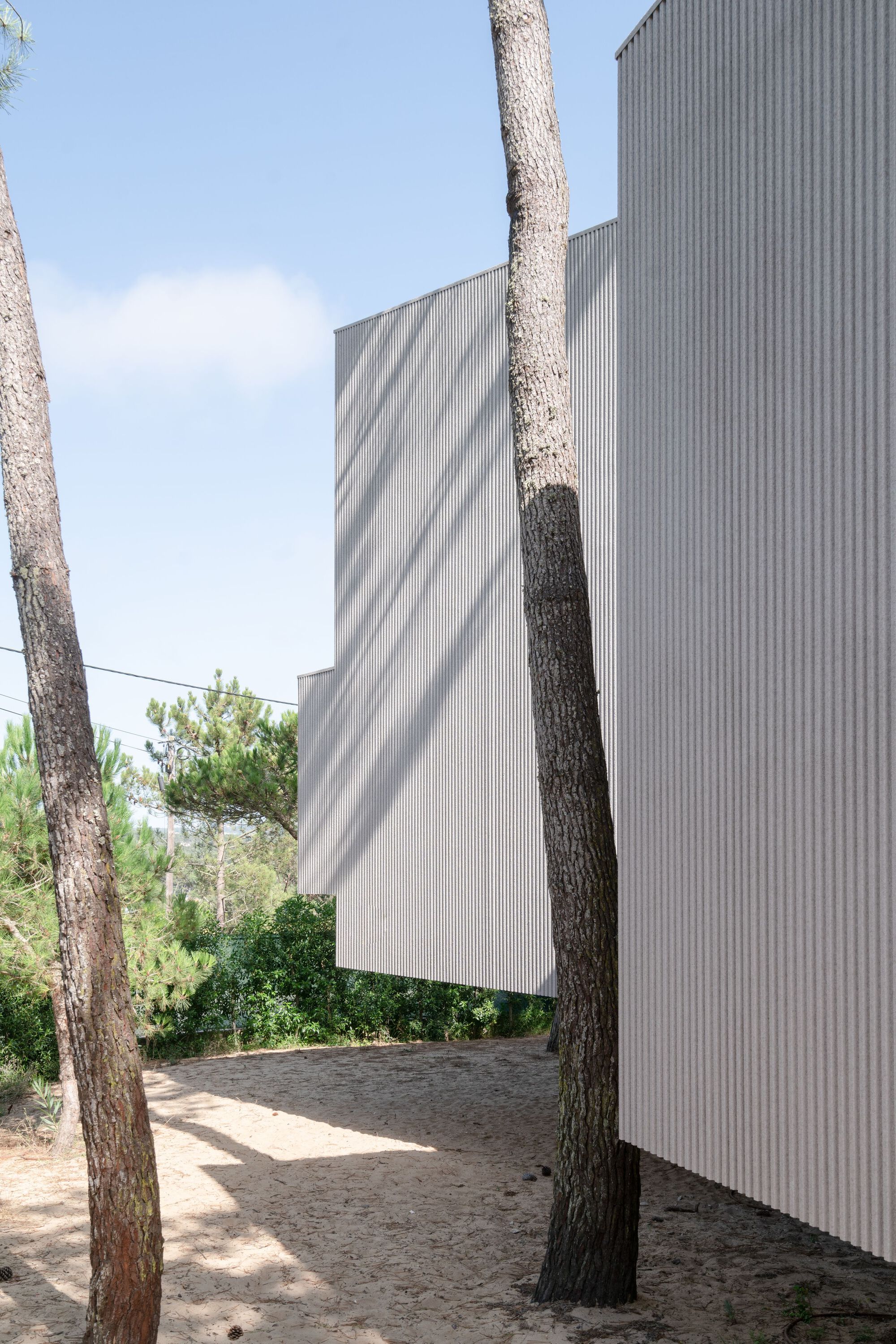 Corrugated metal facade with pine tree trunk casting diagonal shadow across the vertical cladding