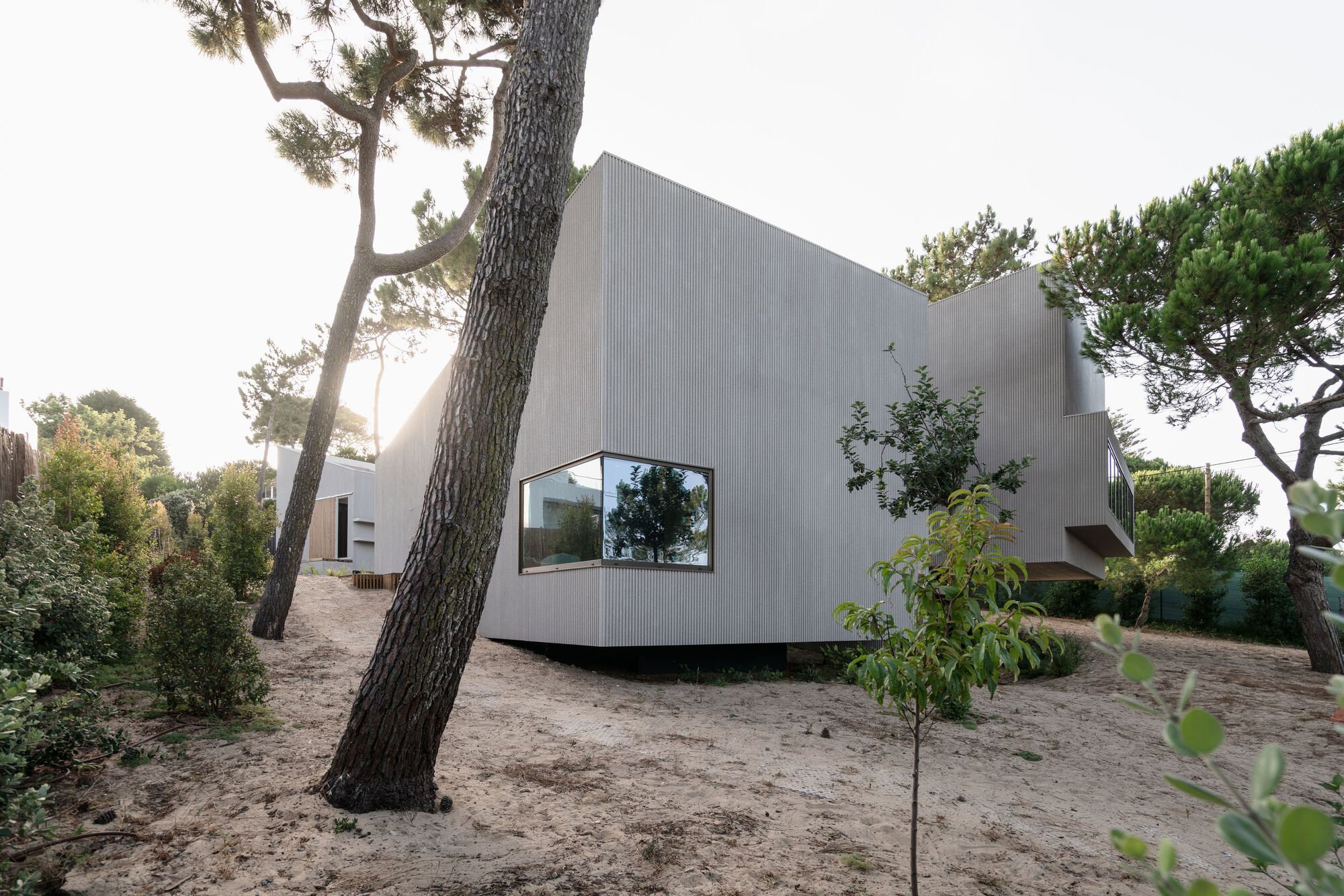 Ribbed metal facade with a corner window nestled among pine trees in sandy terrain