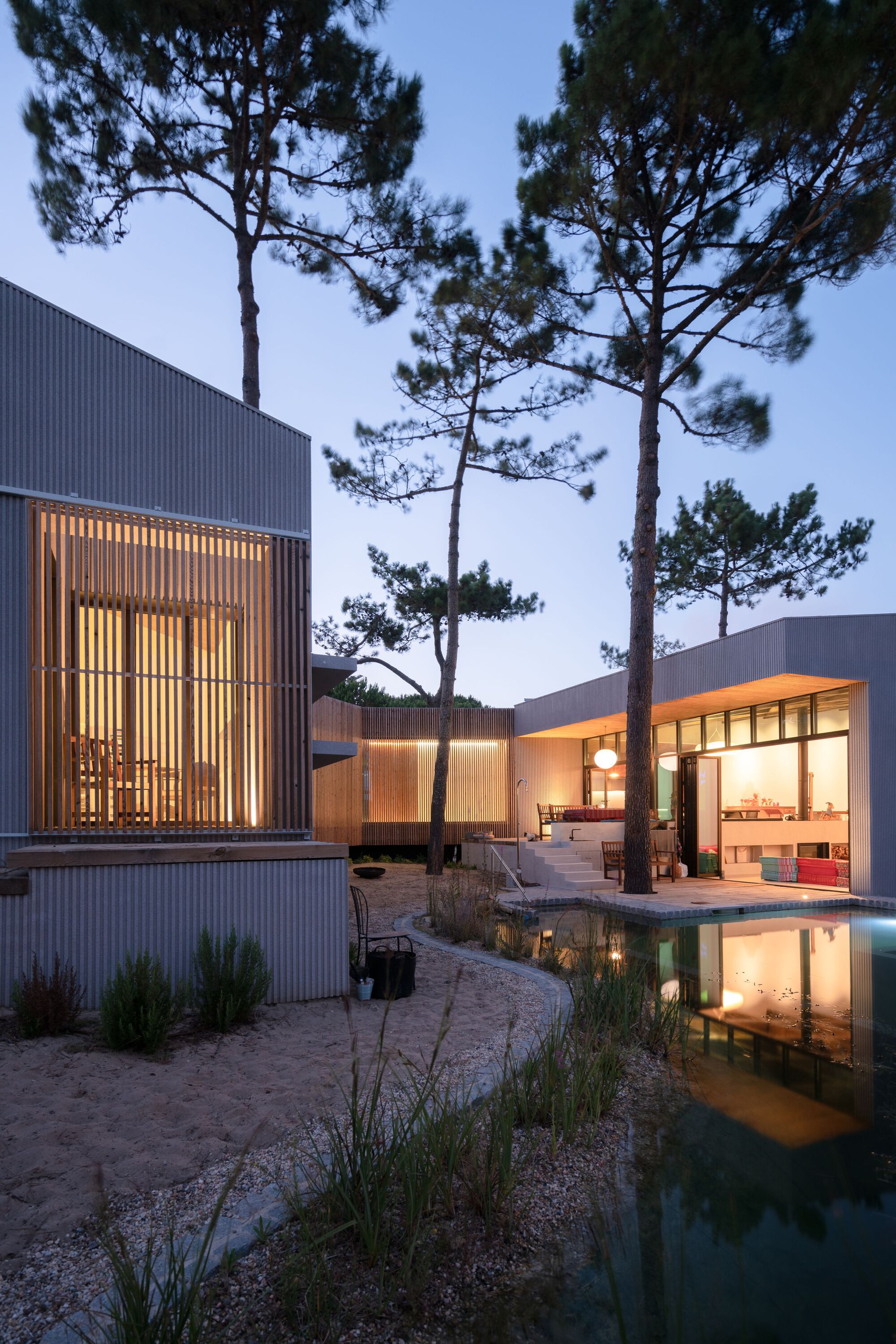 Courtyard view showing illuminated timber screen and reflecting pool at twilight among scattered pines