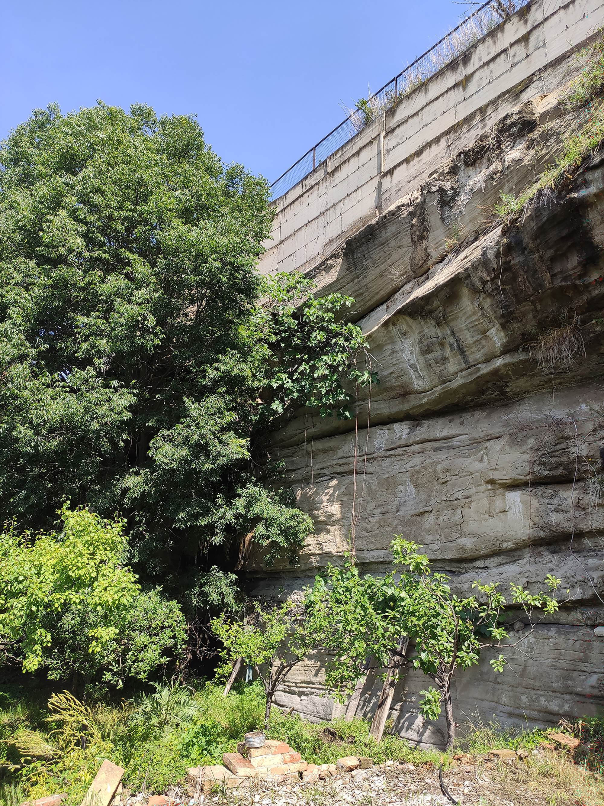 Layered sandstone cliff face with concrete retaining wall above and vegetation filling the lower ravine