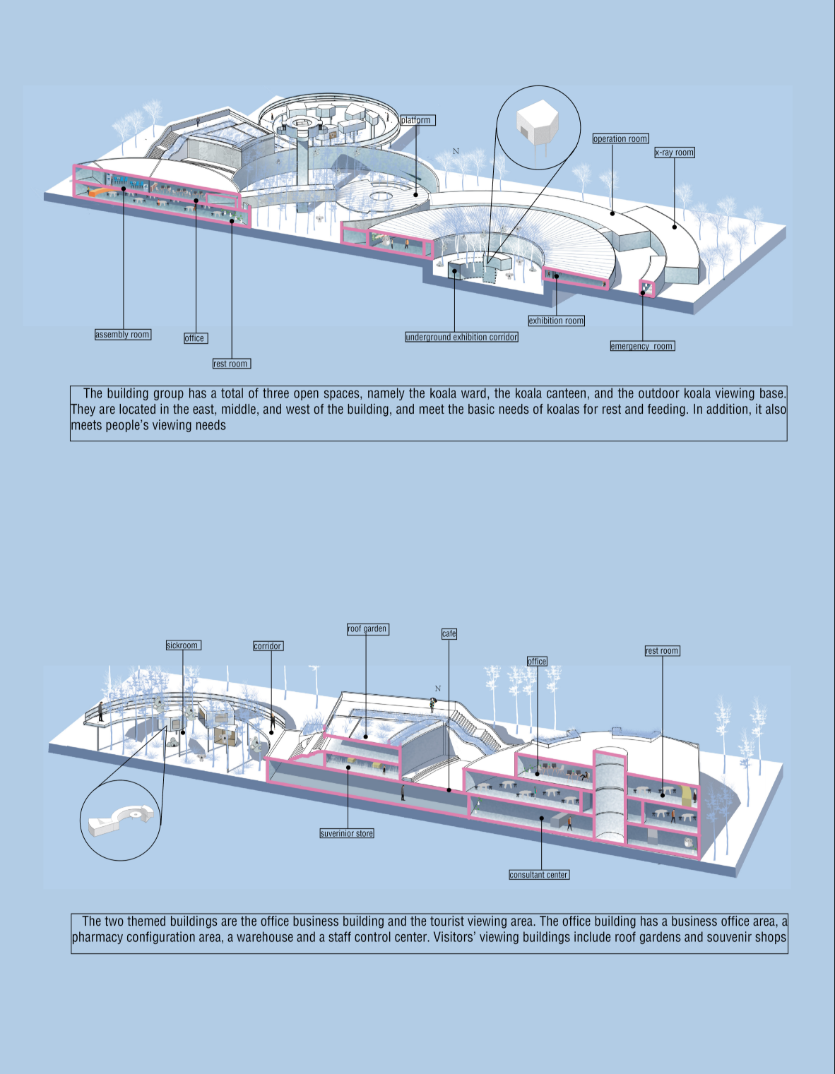 Circular rehabilitation spaces merge healthcare, ecology, and public engagement within a wildlife-centered architectural environment.